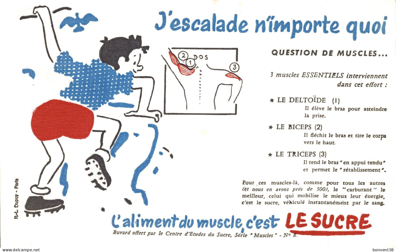 J2707 - BUVARD - L'Aliment Du Muscle C'est Le SUCRE - J'Escalade N'importe Quoi - Süssigkeiten & Kuchen