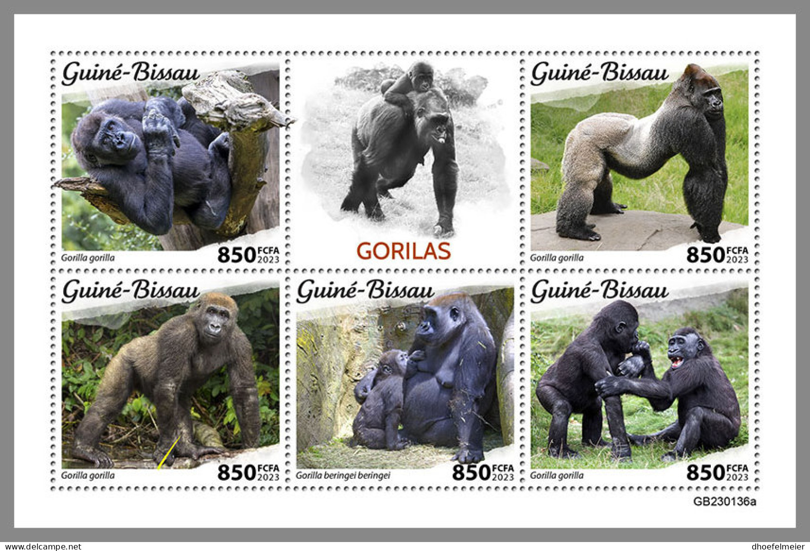 GUINEA BISSAU 2023 MNH Gorillas Gorilles M/S - OFFICIAL ISSUE - DHQ2330 - Gorilles