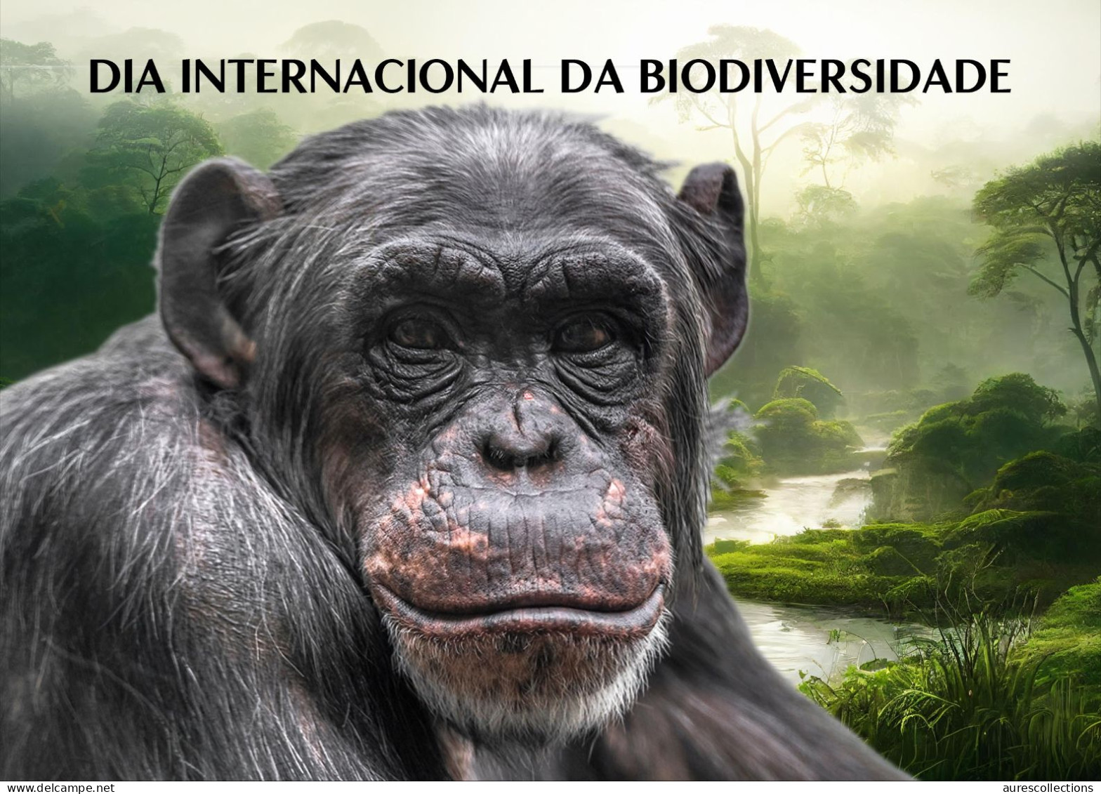 GUINEA BISSAU 2023 - STATIONERY CARD - CHIMPANZEE CHIMPANZE CHIMPANZEES CHIMPANZES APE APES MONKEY MONKEYS - Chimpansees