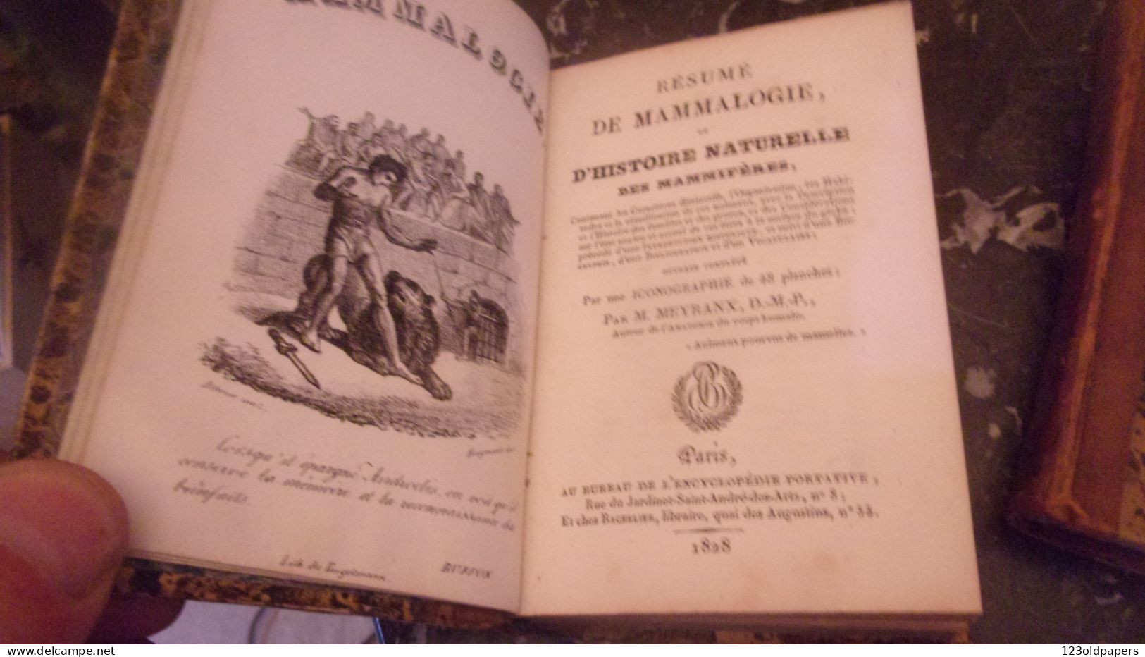 EO 1830   ‎MEYRANX M.‎ ‎Résumé de mammalogie ou d’histoire naturelle des mammifères 48  PLANCHES COULEURS