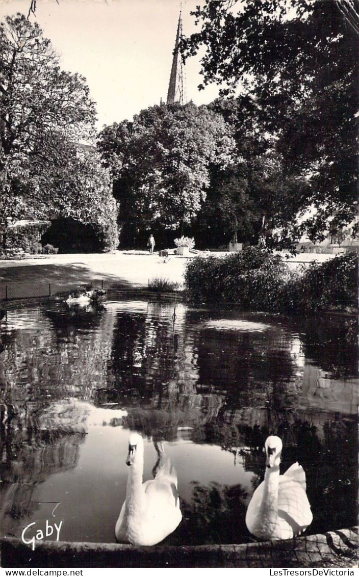 CPA - France - 85 - FONTENAY LE COMTE - Le Jardin Public - Les Cygnes - Carte Postale Ancienne - Fontenay Le Comte