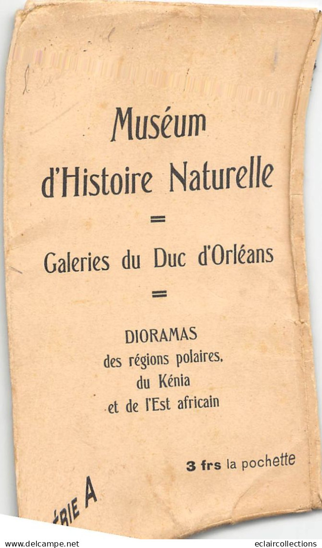 Musée  Histoire Naturelle  Galeries Du Duc D'Orléans  Kénya. Région Polaire. Est Africain  10 Cartes .   (voir Scan) - Museen