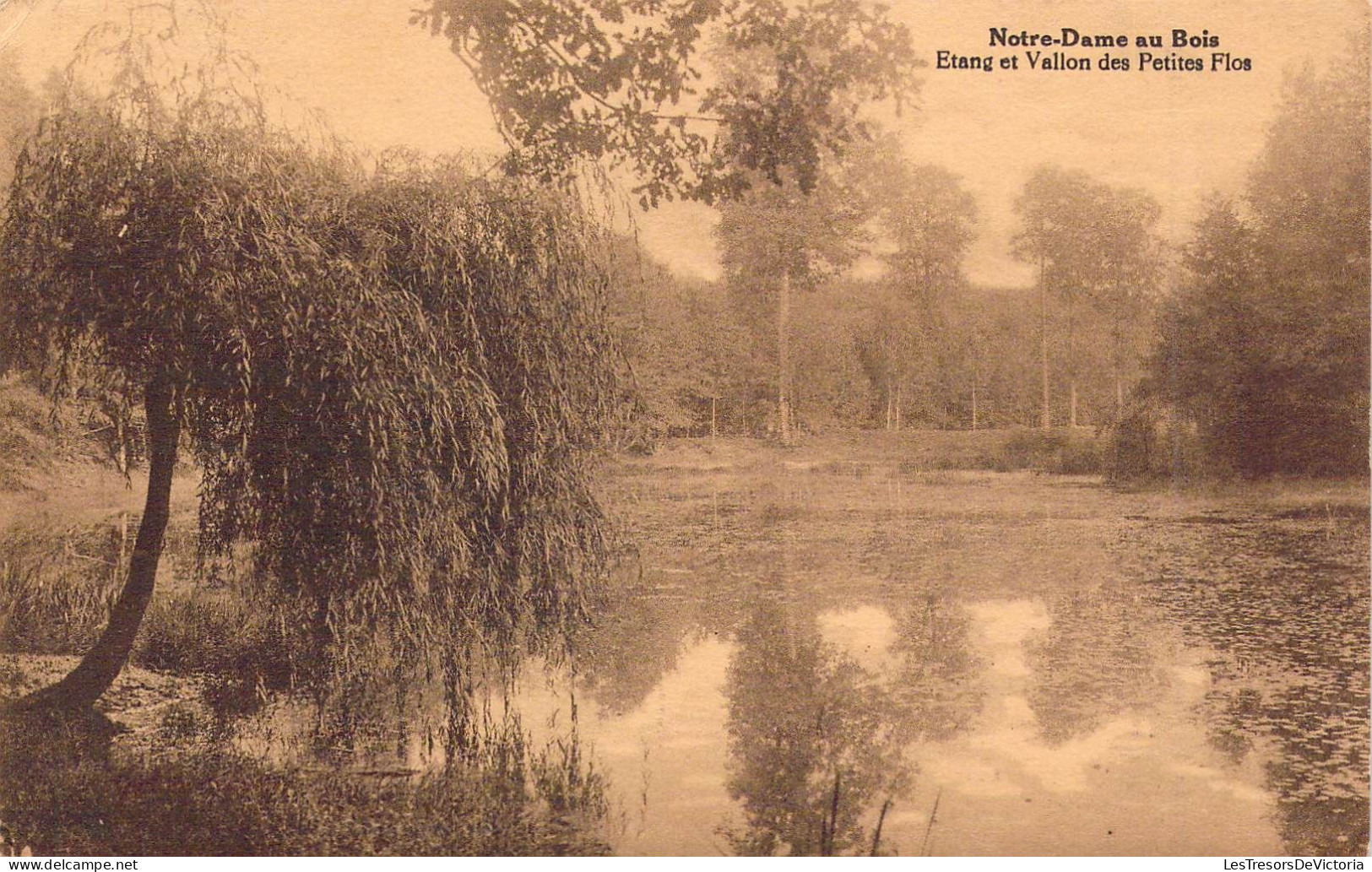 BELGIQUE - NOTRE DAME AU BOIS - Etang Et Vallon Des Petites Flos - Edit Cammaerts Soeurs - Carte Postale Ancienne - Other & Unclassified