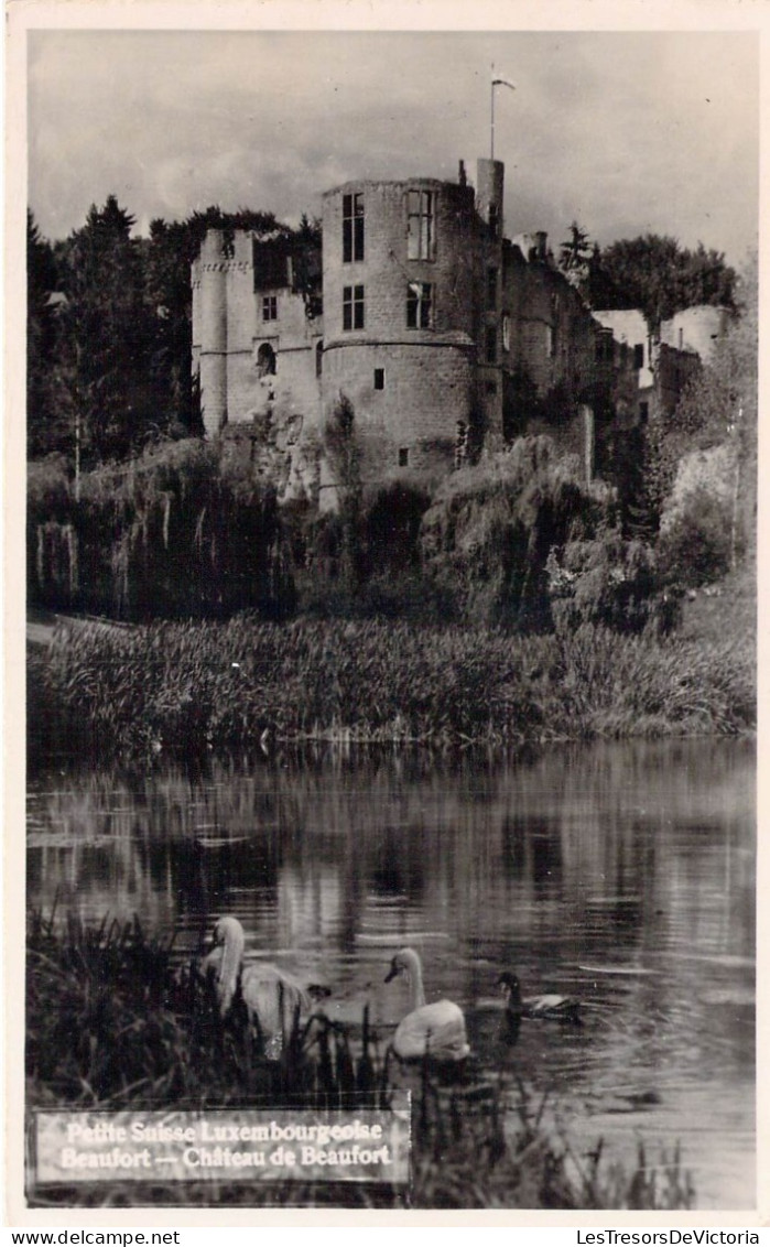 LUXEMBOURG - Beaufort - Château De Beaufort - Carte Postale Ancienne - Sonstige & Ohne Zuordnung