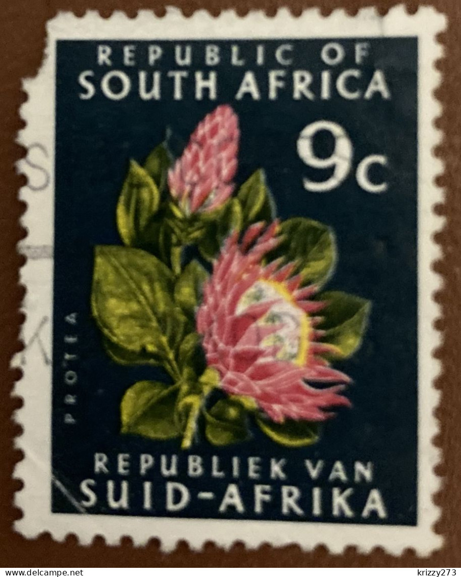 South Africa 1971 Flower Protea 9 C - Used - Oblitérés