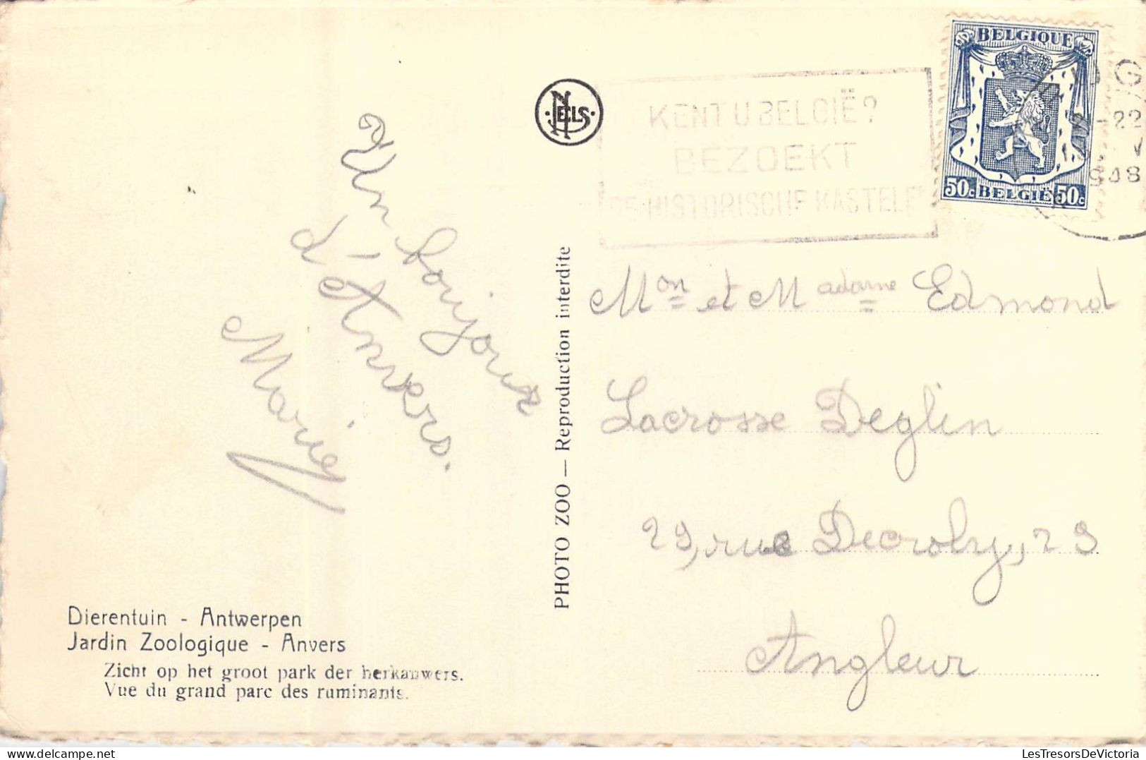 BELGIQUE - Anvers - Jardin Zoologique - Carte Postale Ancienne - Antwerpen