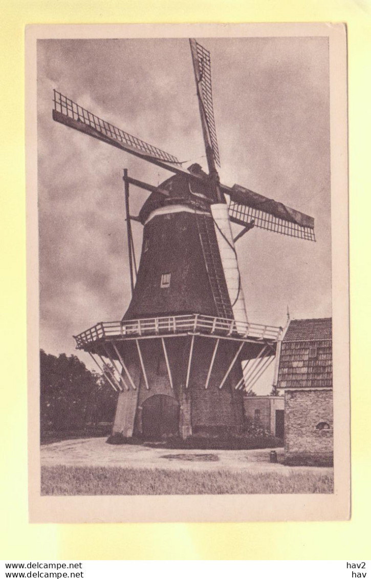 Putten  Molen RY19376 - Putten