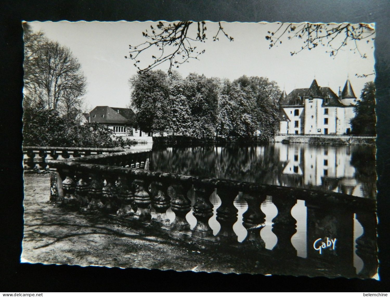 NIEUL               LE CHATEAU ET SON PARC - Nieul