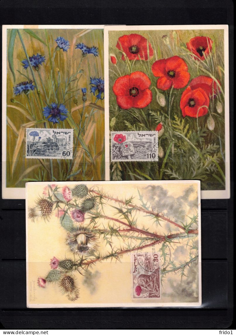 Israel 1952 Flowers Maximum Cards - Cartes-maximum