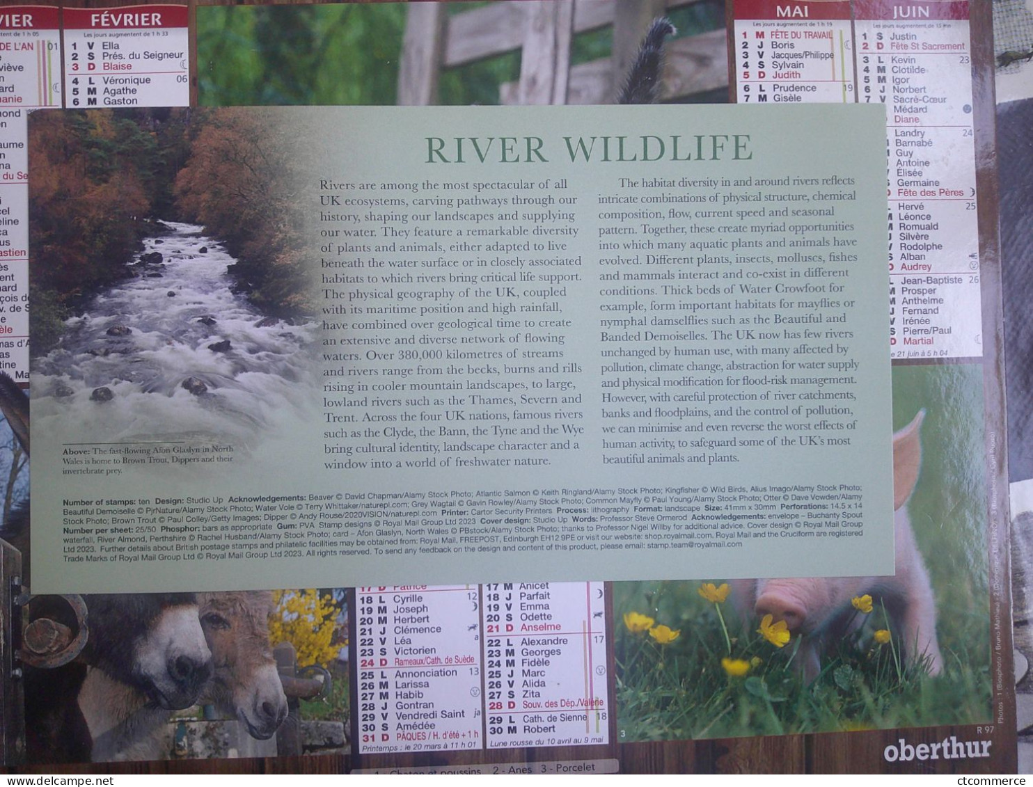 FDC, River Wildlife, Faune Fluviale, Beaver, Castor - 2021-... Decimal Issues
