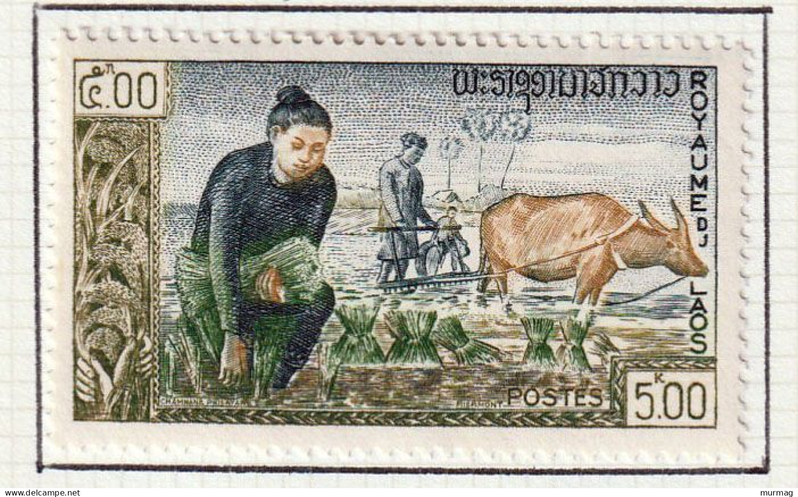 CAMPAGNE MONDIALE CONTRE LA FAIM - Laos - Repiquage Du Riz - Y&T N°88 - 1963 - MH - Contre La Faim