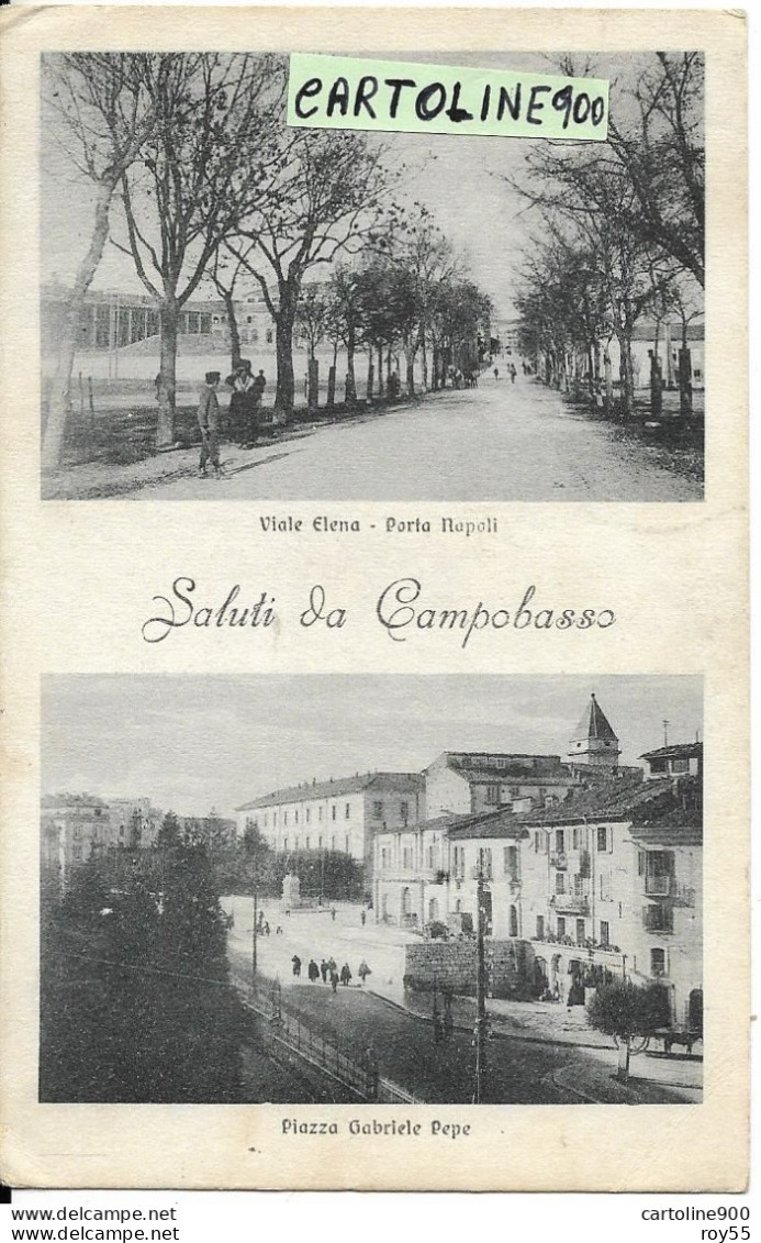 Molise-campobasso Vedute Vedutine Viale Elena Porta Napoli Piazza Gabriele Pepe Saluti Da Campobasso  (f.picc./v.retro) - Campobasso