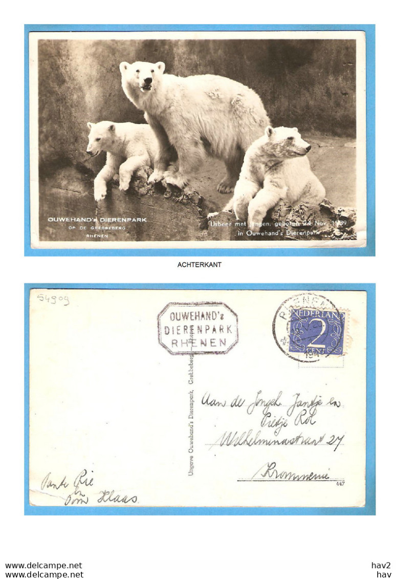 Rhenen Ouwehand Dierenpark IJsbeer 1943 RY54909 - Rhenen