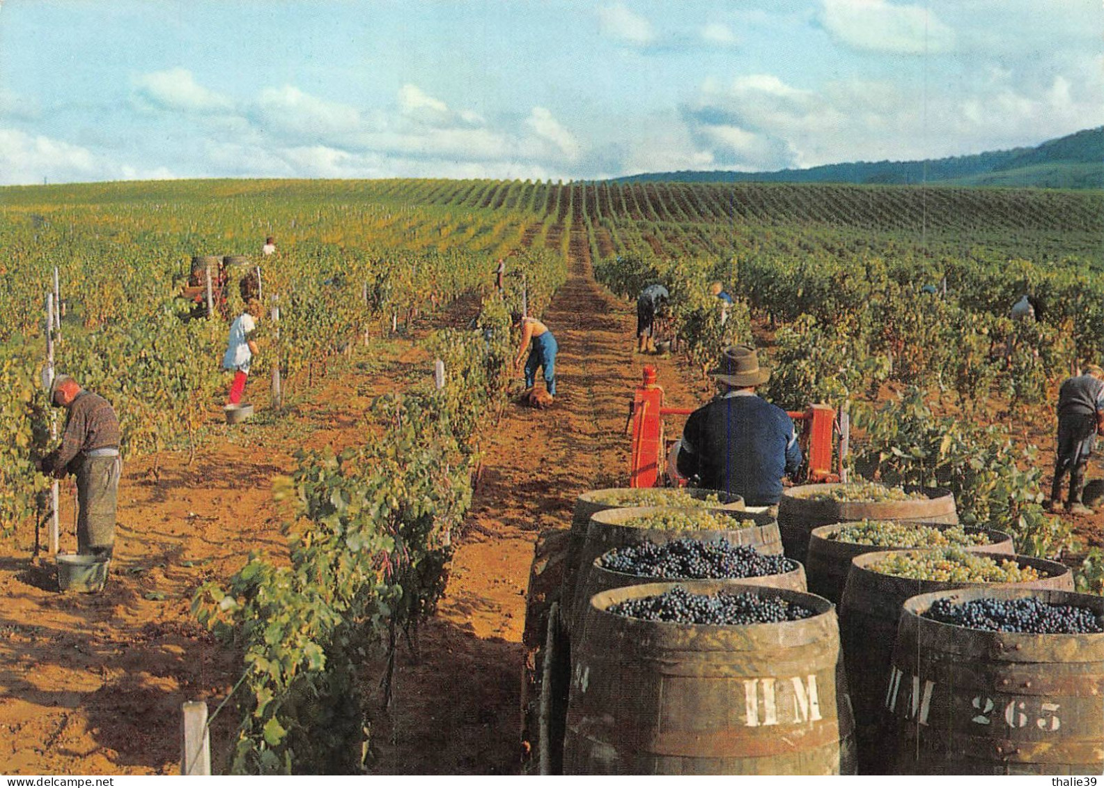 Tracteur Vendanges Arbois - Tractors