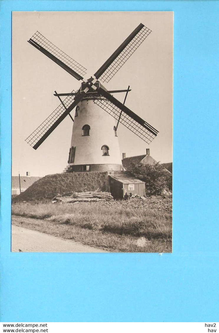 Cadzand Molen M99 - Cadzand