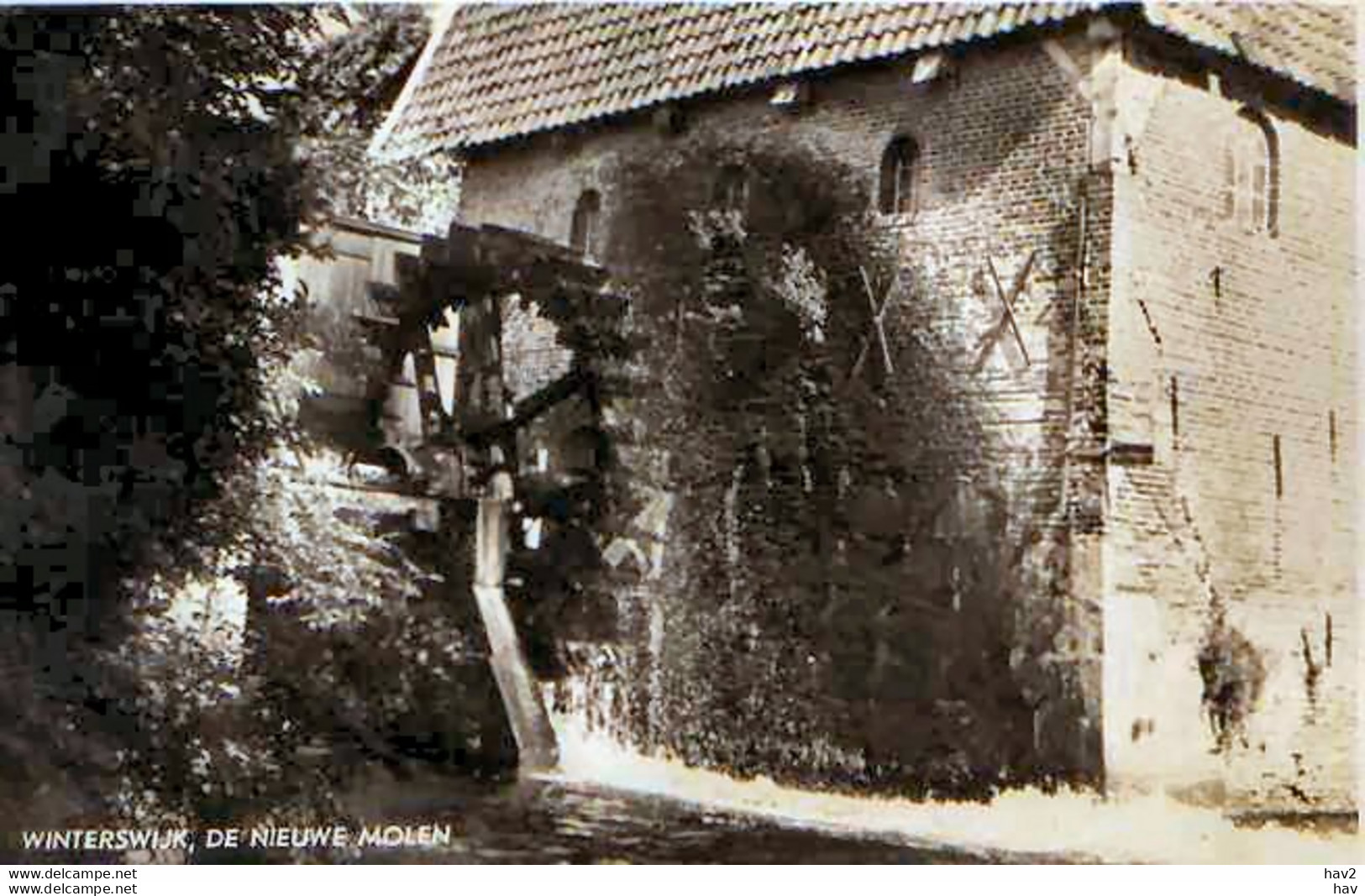 Winterswijk Molen 3533 - Winterswijk