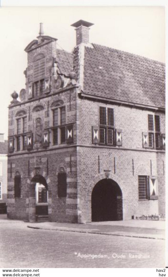 Appingedam (Gr) Oude Raadhuis  RY 0818 - Appingedam