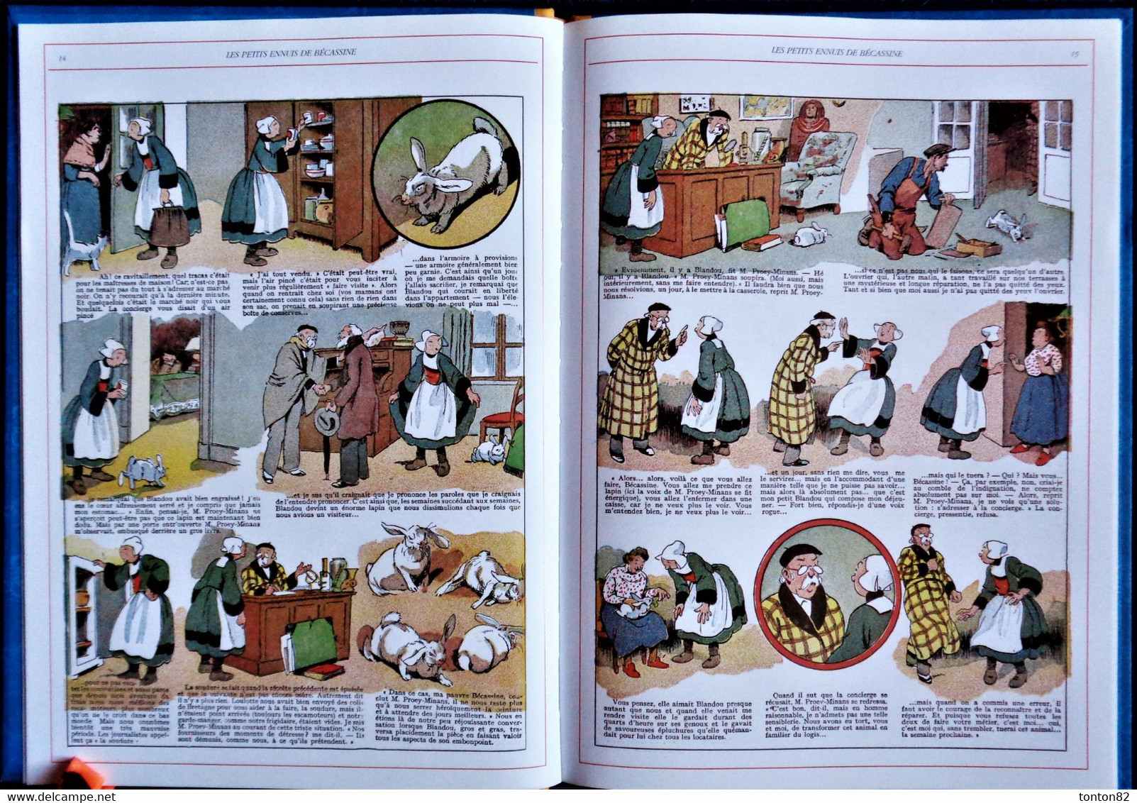 Caumery / Pinchon - Les Bonnes Idées De BÉCASSINE   - Éditions Gautier-Languereau - ( 2005 ) . - Bécassine