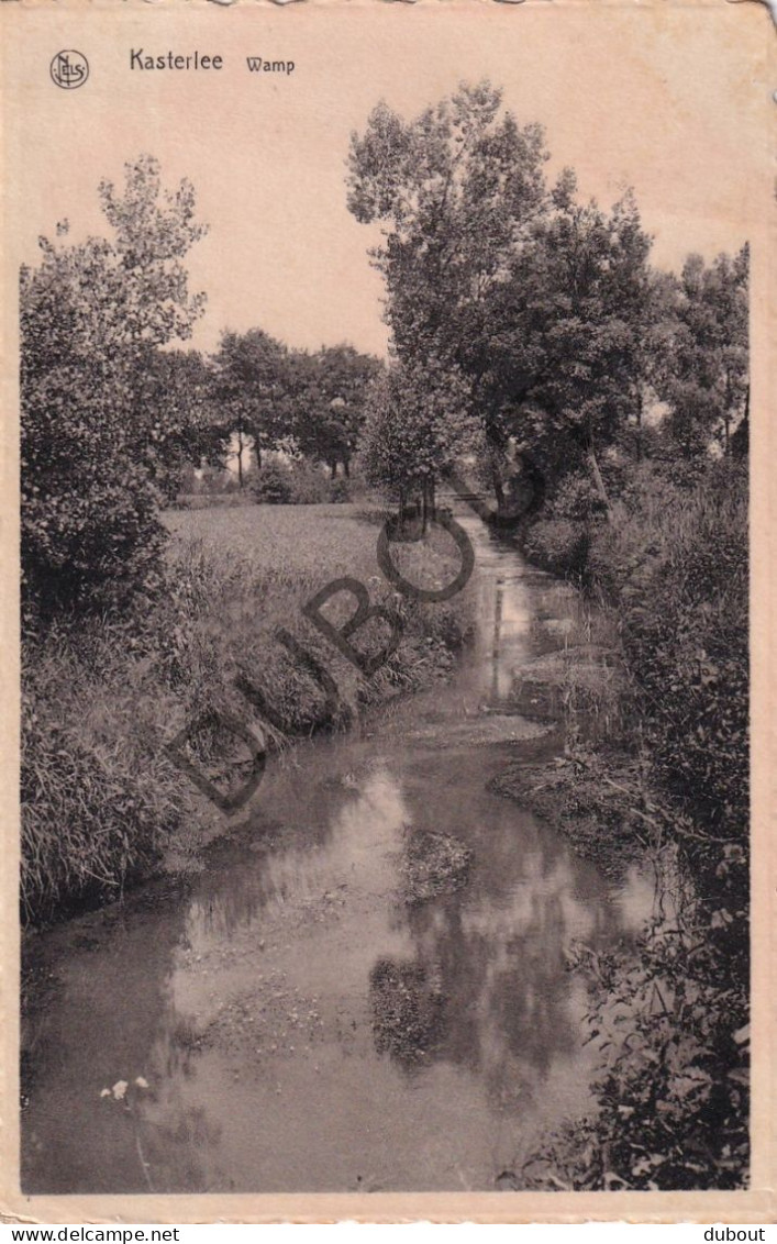 Postkaart/Carte Postale - Kasterlee - Wamp (C4624) - Kasterlee