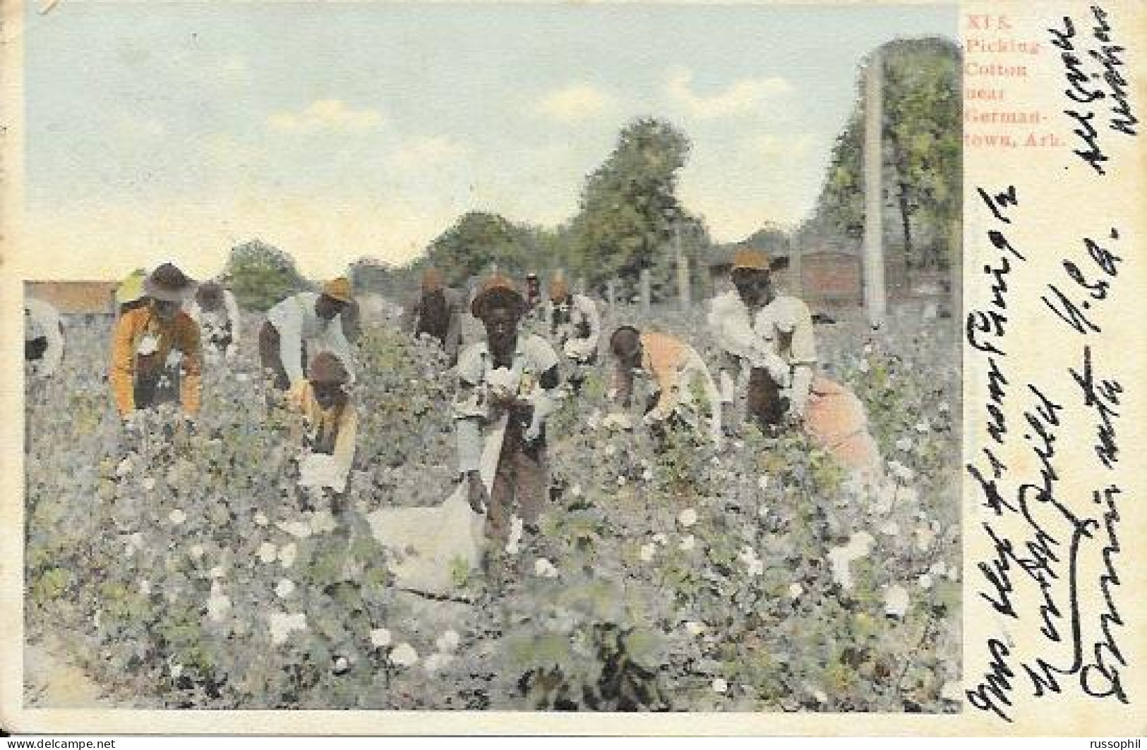 USA - BLACK AMERICANA - PICKING COTTON NEAR GERMANTOWN, ARK. - 1906 - Black Americana