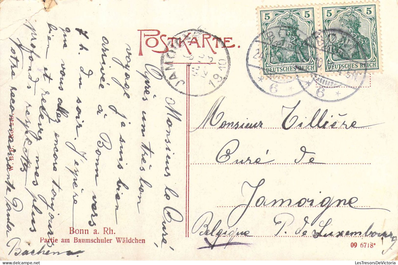 ALLEMAGNE - Bonn A. Rh. - Partie Am Baumschuler Waldchen - Carte Postale Ancienne - Bonn