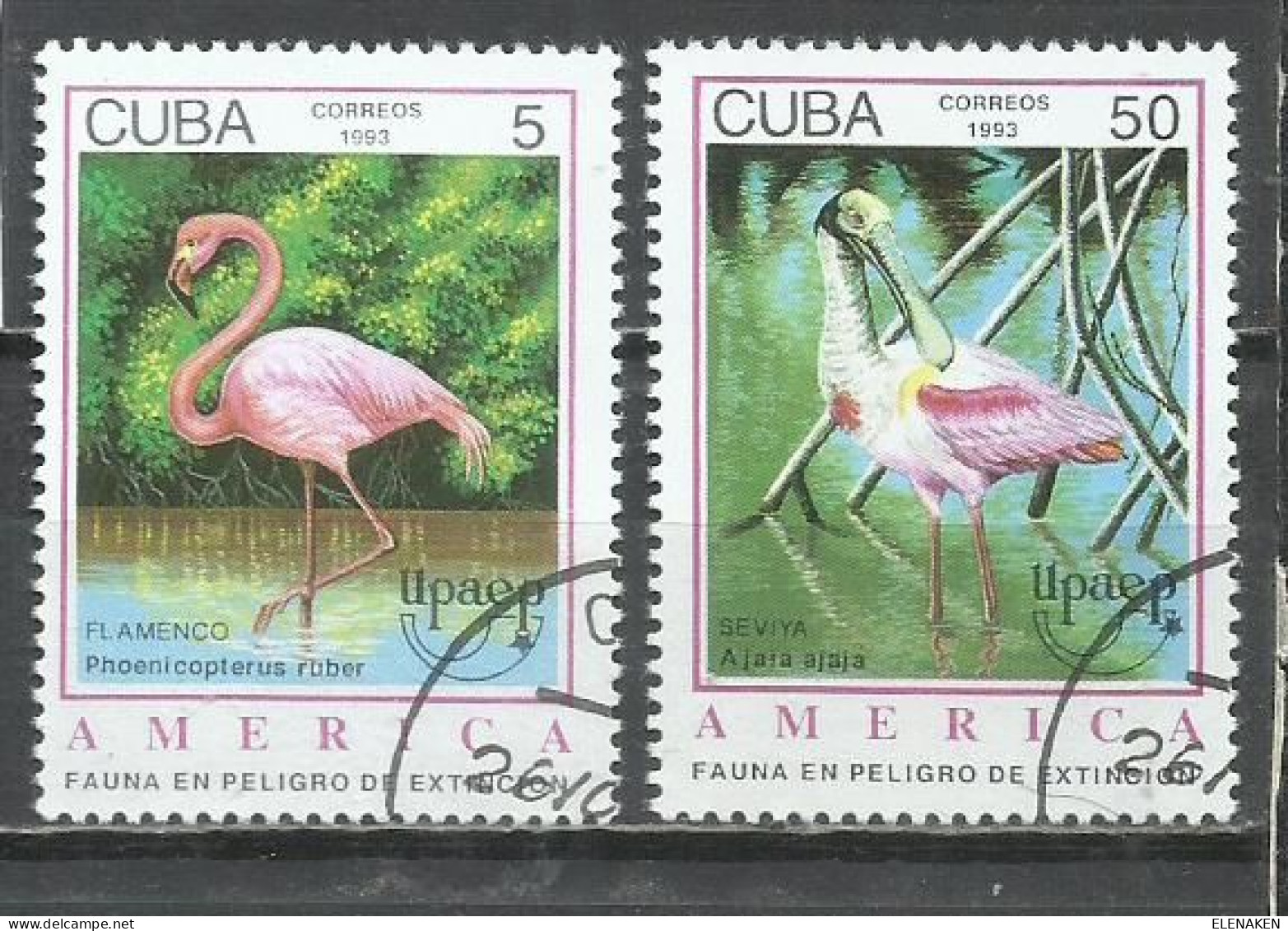 6200J- SELLOS DE CUBA SERIE COMPLETA AVES PÁJAROS 1993 Nº 3323/3324 FAUNA, ANIMALES. - Collezioni & Lotti