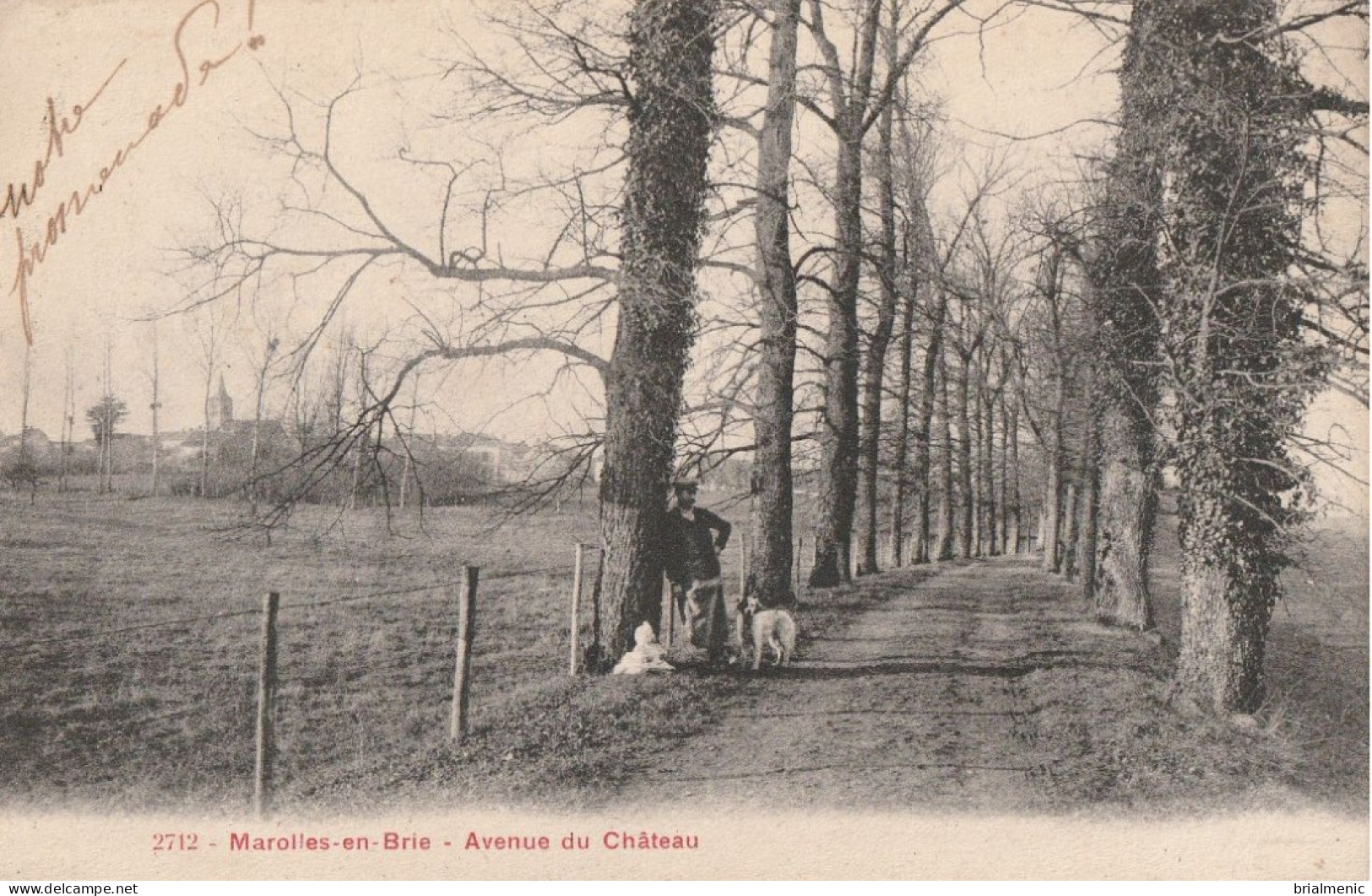 MAROLLES En BRIE  Avenue Du Château - Marolles En Brie