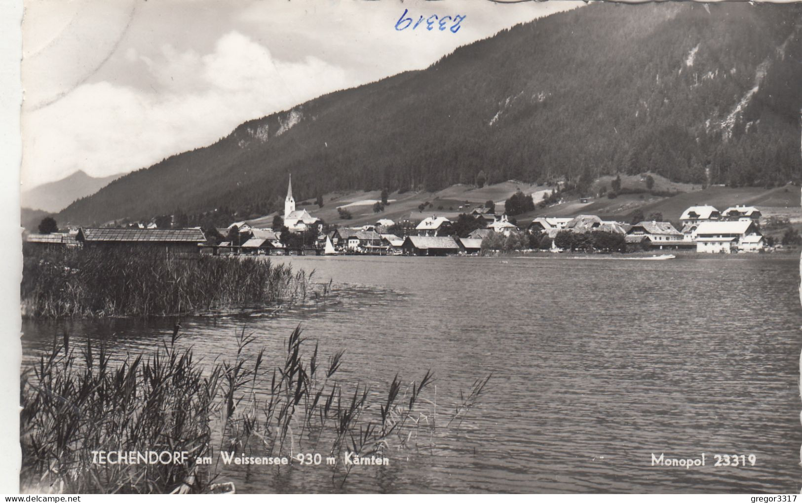 D3090) TECHENDORF Am WEISSENSEE- S/W  Kärnten - Schilf Im Vordergrund Und Blick Auf Andere Seeseite - Weissensee