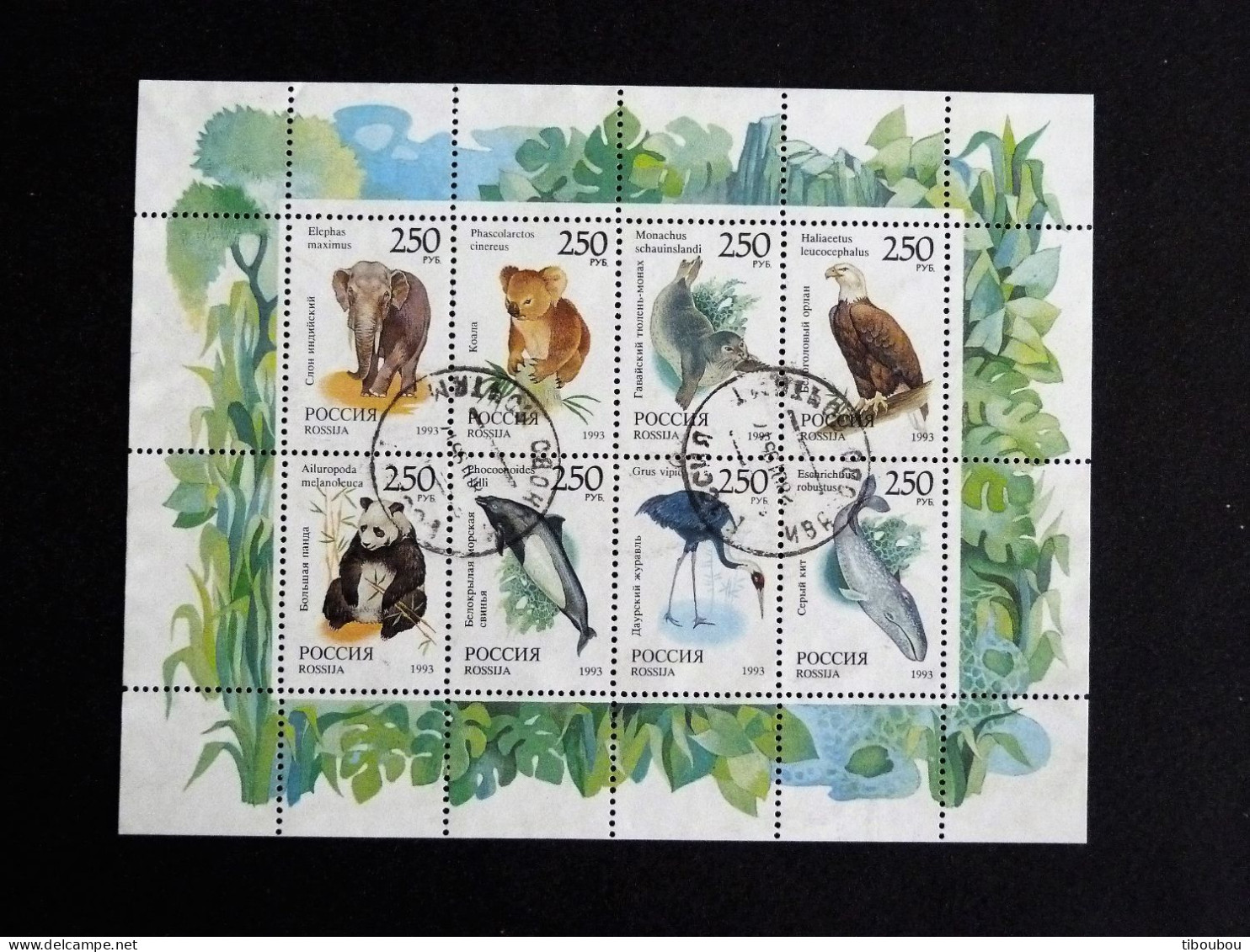 RUSSIE RUSSIA ROSSIJA URSS CCCP YT 6040 à 6047 OBLITERE - ELEPHANT KOALA PHOQUE PANDA BALEINE AIGLE MARSOUIN GRUE - Feuilles Complètes