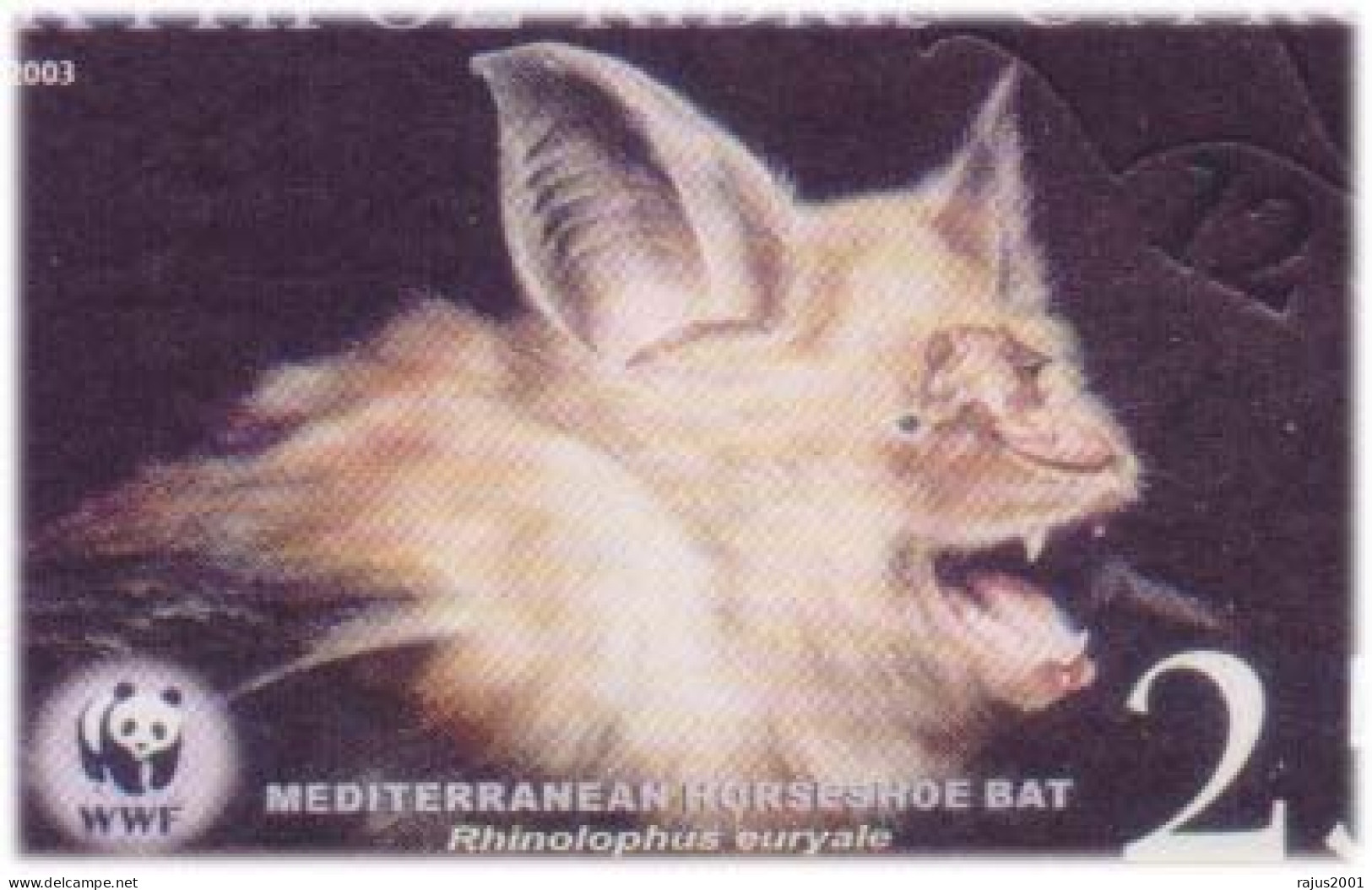 Mediterranean Horseshoe Bat, Rhinolophidae Family, Bats, Animal, Mammals, Cyprus Pictorial Cancellation Official FDC - Chauve-souris