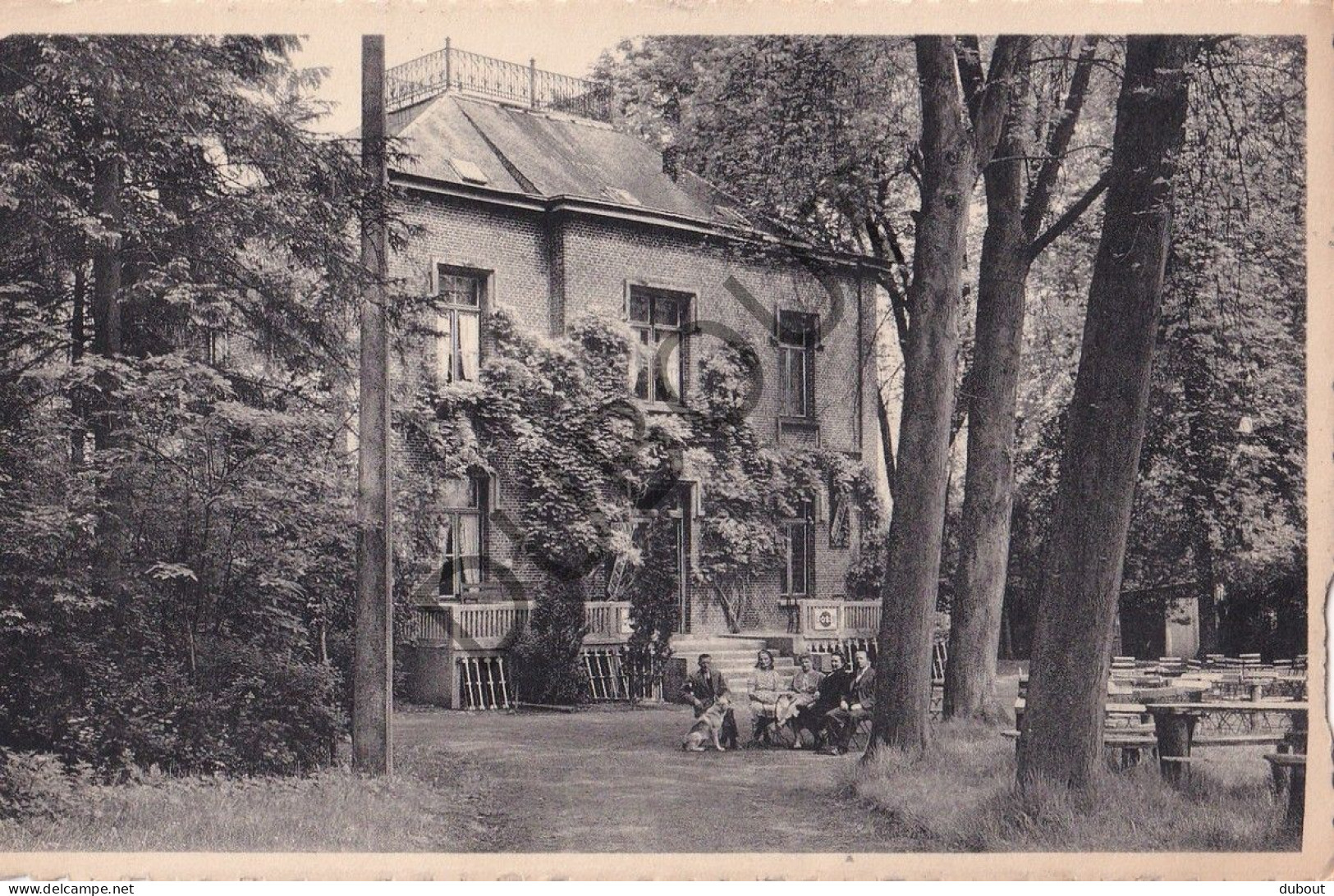 Postkaart/Carte Postale - Roisin - Caillou Qui Bique - Hôtel Restaurant Des Bargettes (C4620) - Honnelles