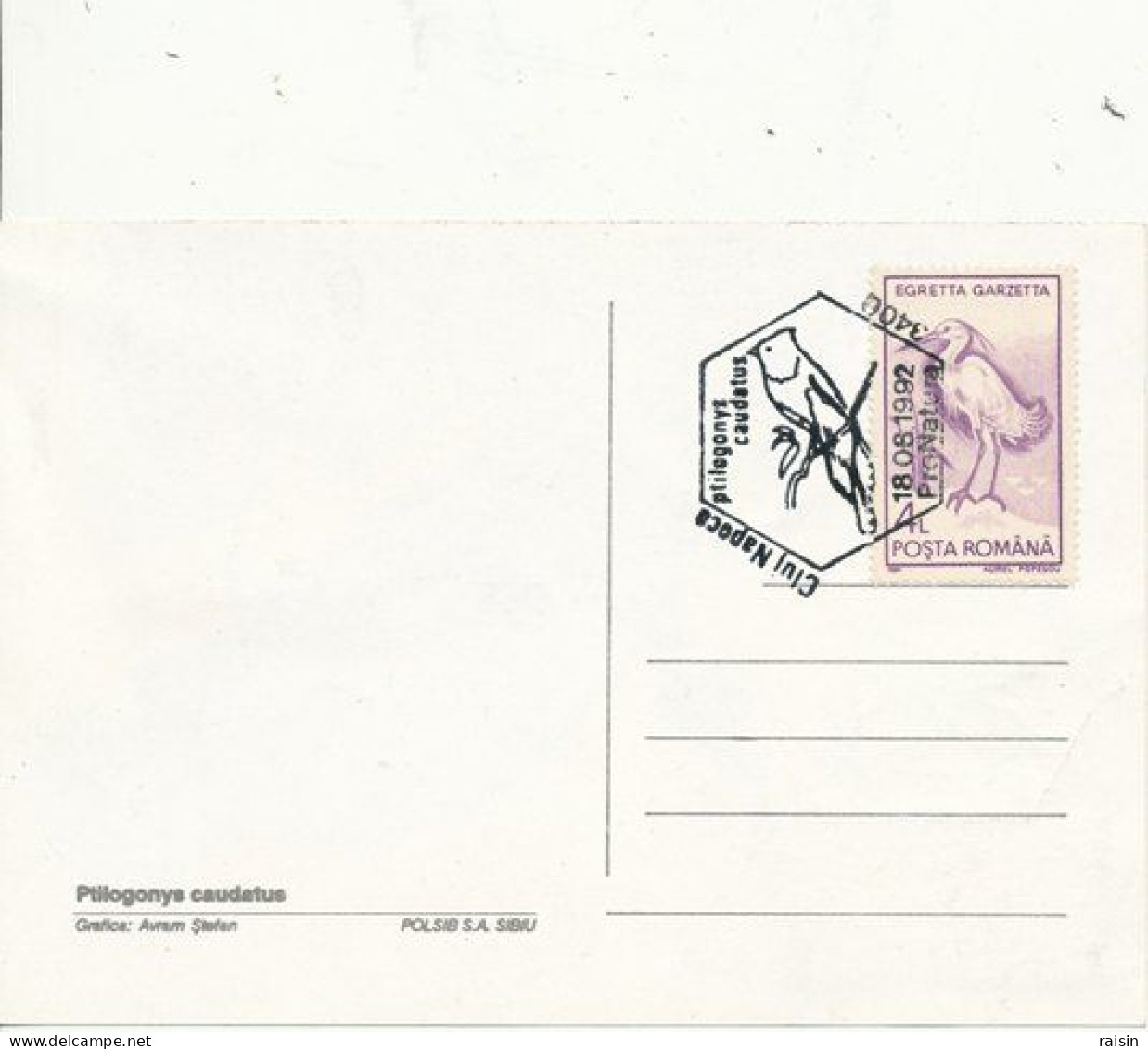 Roumanie 1992 Carte Maximum Double Recto-verso Oiseaux - Cartas & Documentos