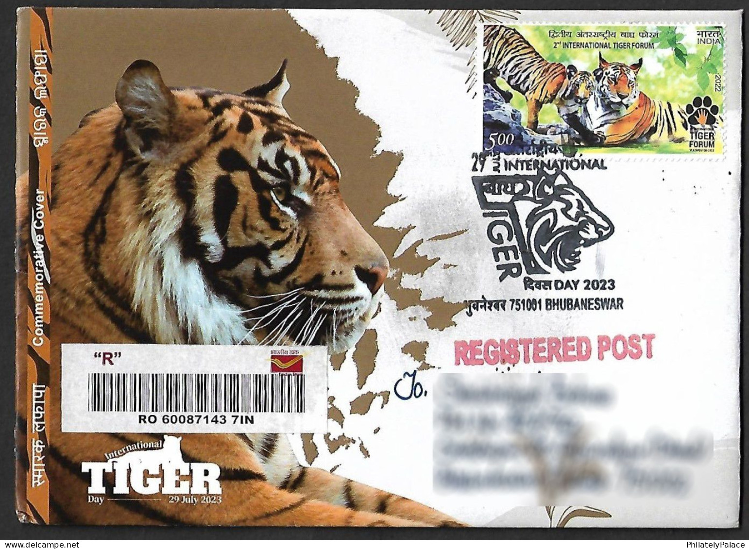 India 2023 International Tiger Day, Endangered, Animal, Panthera Tigris, Registered Cover (**) Inde Indien - Other & Unclassified