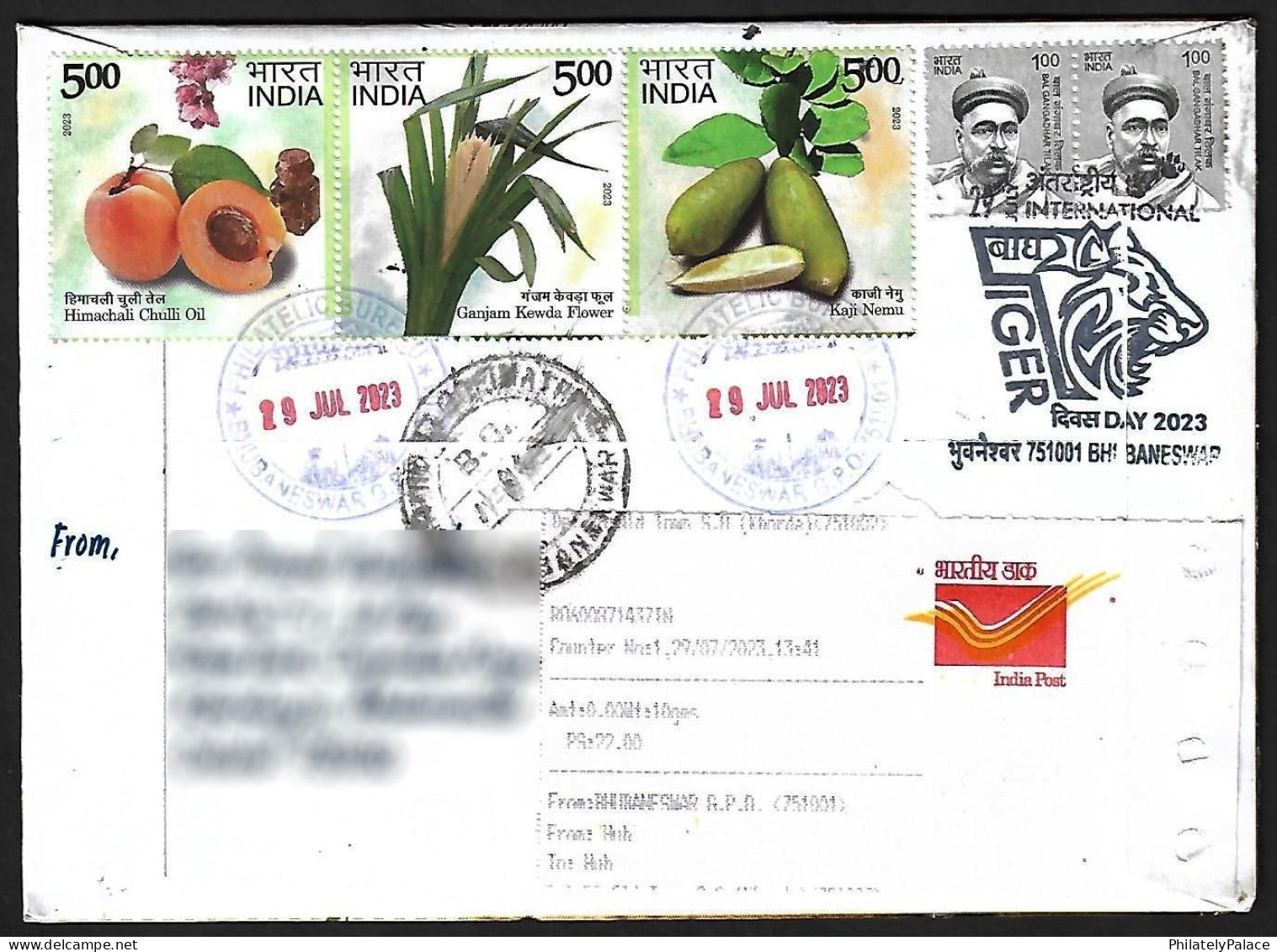 India 2023 International Tiger Day, Endangered, Animal, Panthera Tigris, Registered Cover (**) Inde Indien - Other & Unclassified