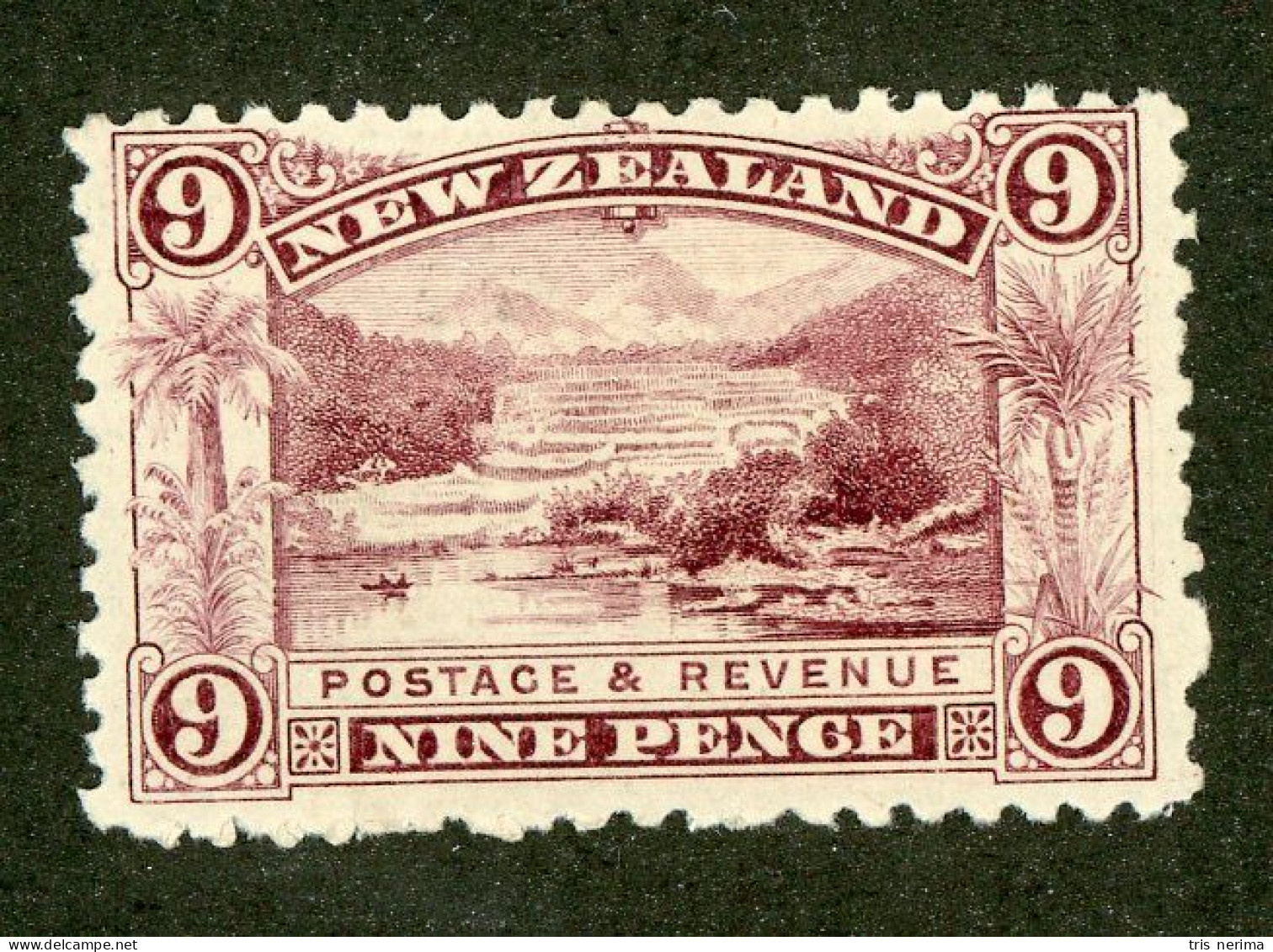 346 New Zealand 1898 Scott #80 M* (Lower Bids 20% Off) - Nuevos