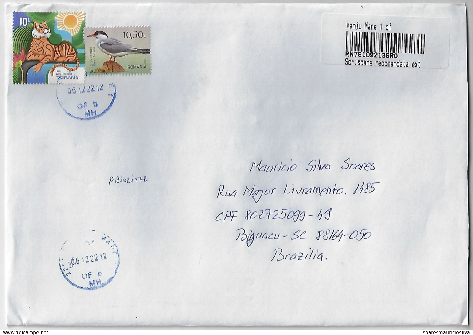 Romania 2022 Registered Cover Sent From Vânju Mare To Biguaçu Brazil 2 Stamp Fauna Animal Mammal Tiger Bird Common Tern - Brieven En Documenten