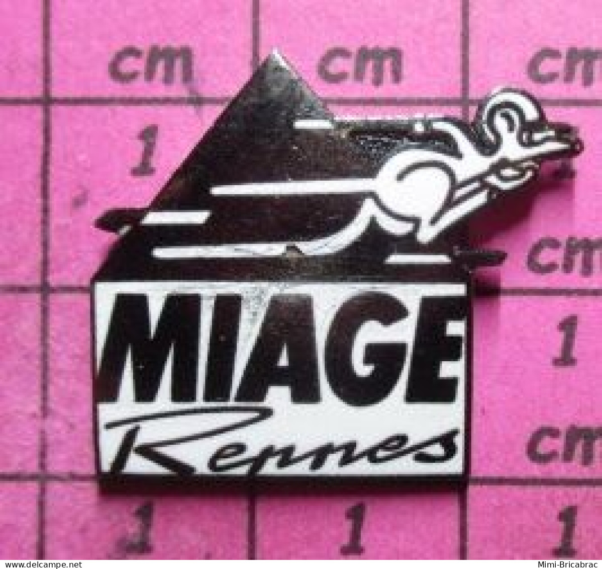 912A Pin's Pins / Beau Et Rare / INFORMATIQUE / MIAGE RENNES KANGOUROU ENSEIGNEMENT - Informatique