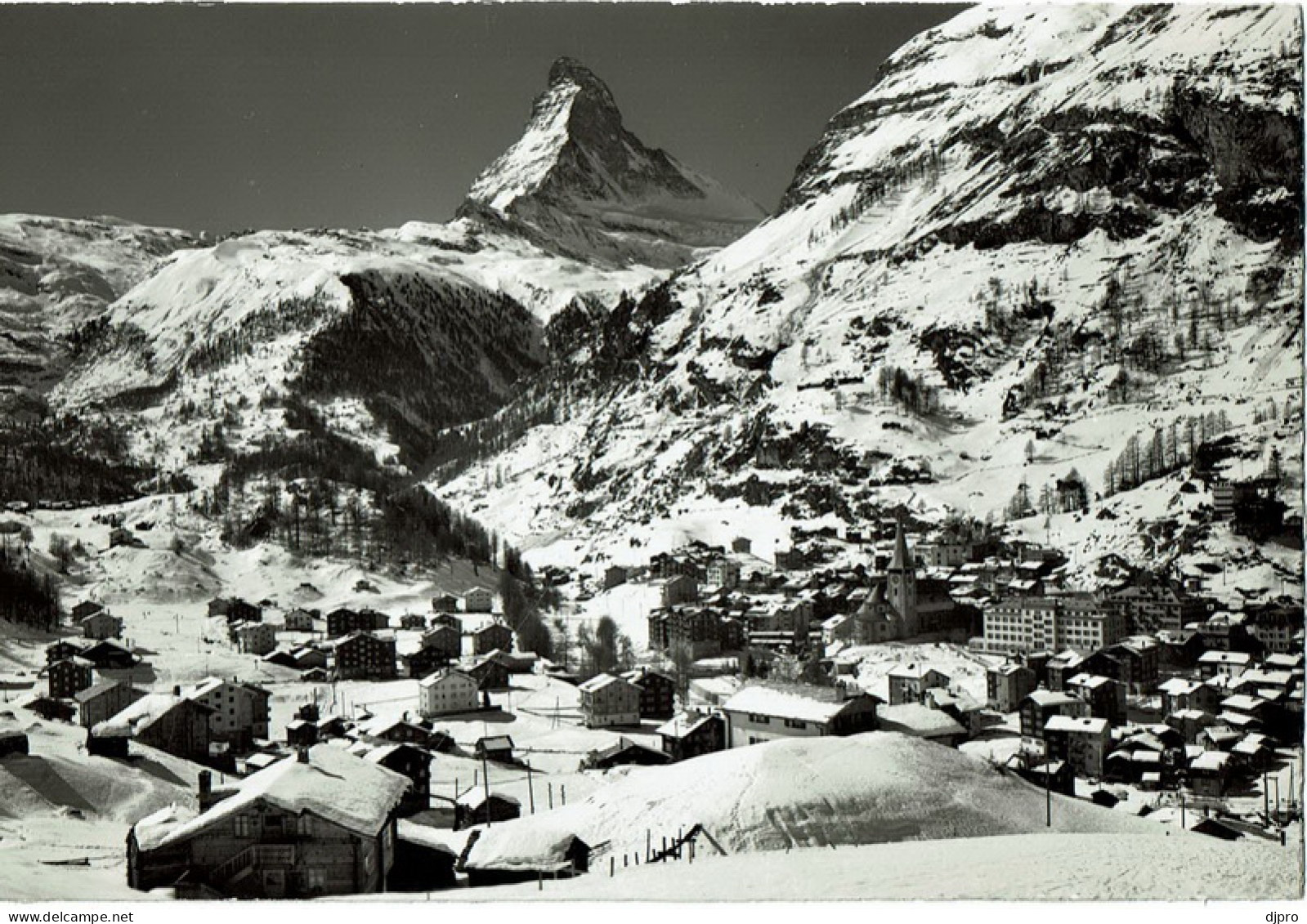 Zermatt 19003 - Matt