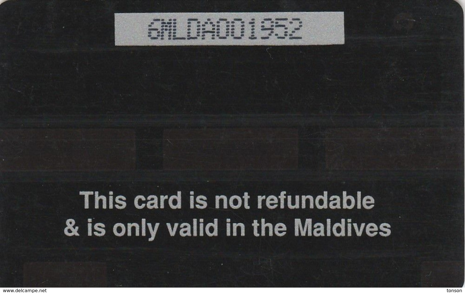 Maldives, 6MLDA, Coconut Palms, Maldives, 2 Scans - Maldiven