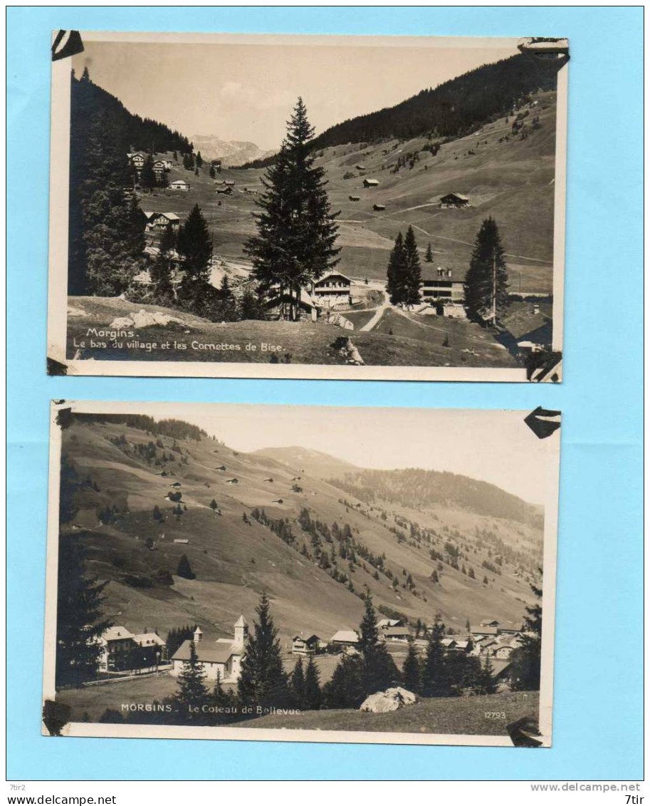 MORGINS Le Coteau De Bellevue Et Le Bas Du Village - Bellevue