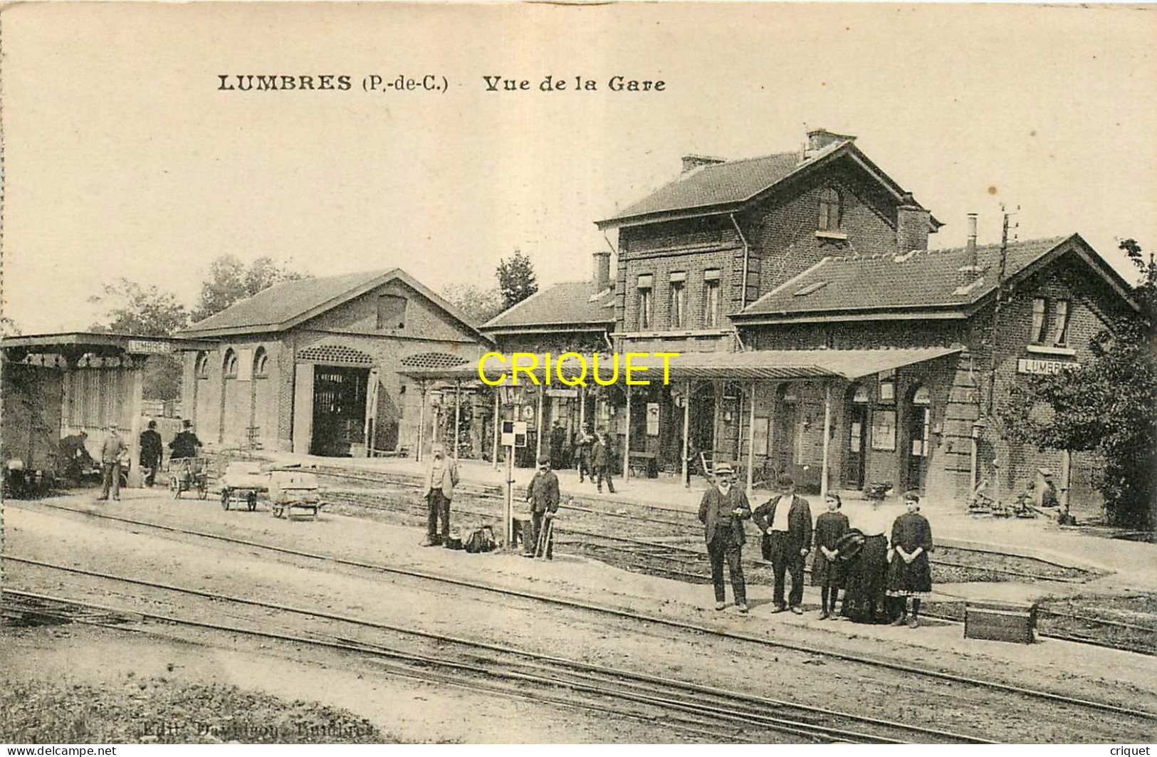 62 Lumbres, Vue De La Gare, Cheminots, Voyageurs ... - Lumbres