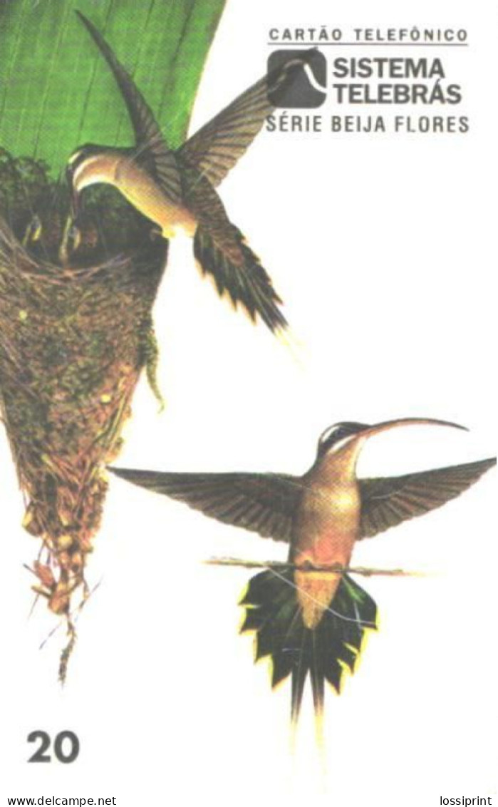 Brazil:Brasil:Used Phonecard, Sistema Telebras, 20 Units, Bird, Phaethornis Margarettae, 1997 - Songbirds & Tree Dwellers