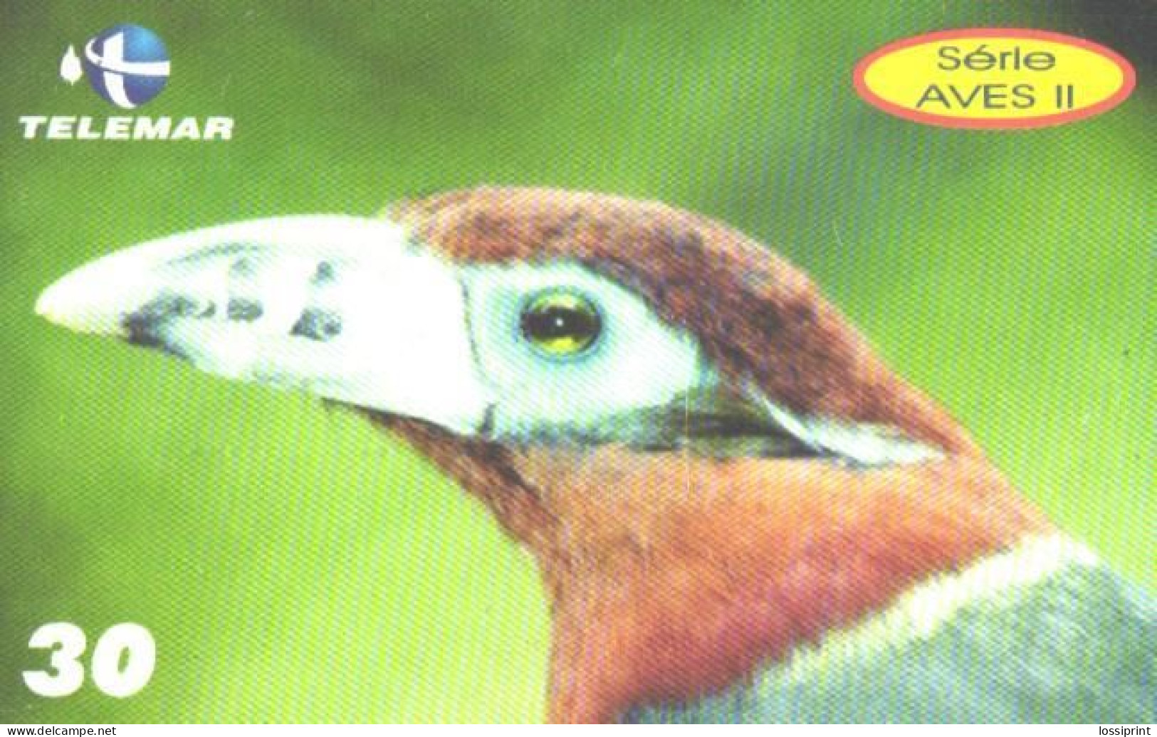 Brazil:Brasil:Used Phonecard, Telemar, 30 Credits, Bird Selenidera Macullirostris, 2001 - Songbirds & Tree Dwellers