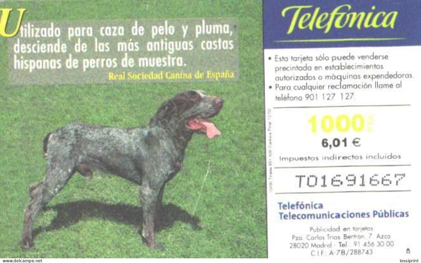 Spain:Used Phonecard, Telefonica, 1000 Pta, Dog, 2002 - Chiens