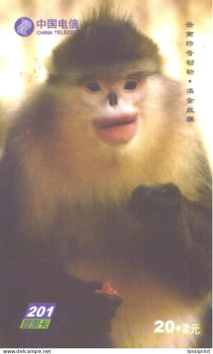 China:Used Phonecard, China Telecom, 20+2 Y, Monkey, 2003 - Jungle