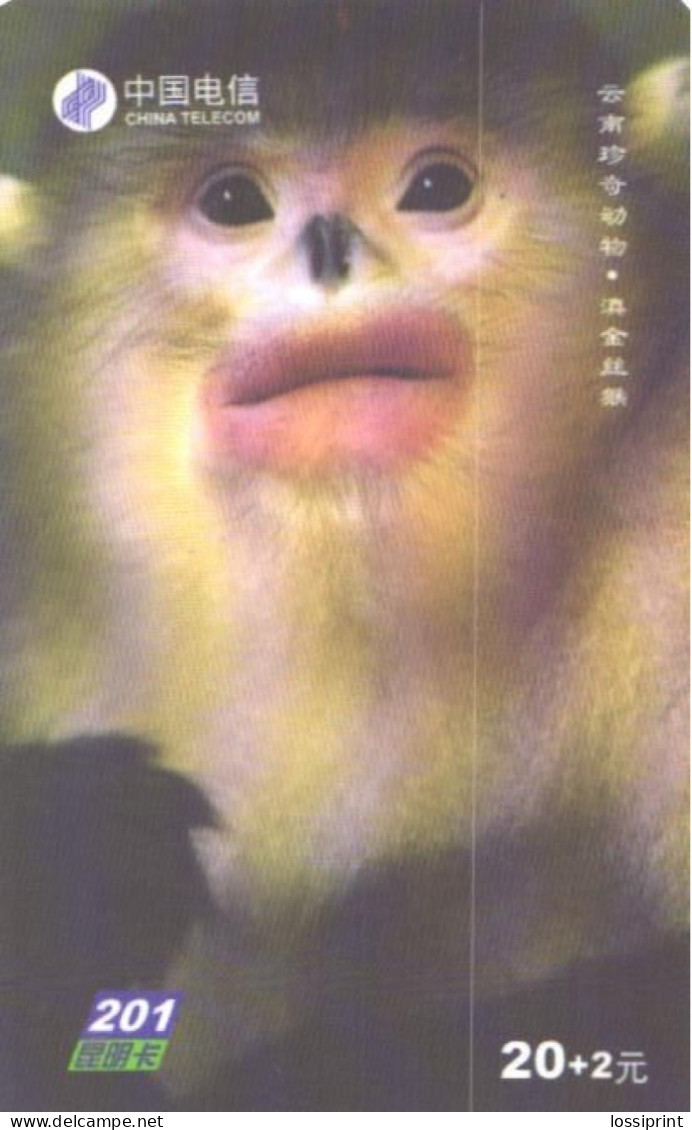 China:Used Phonecard, China Telecom, 20+2 Y, Monkey, 2003 - Giungla