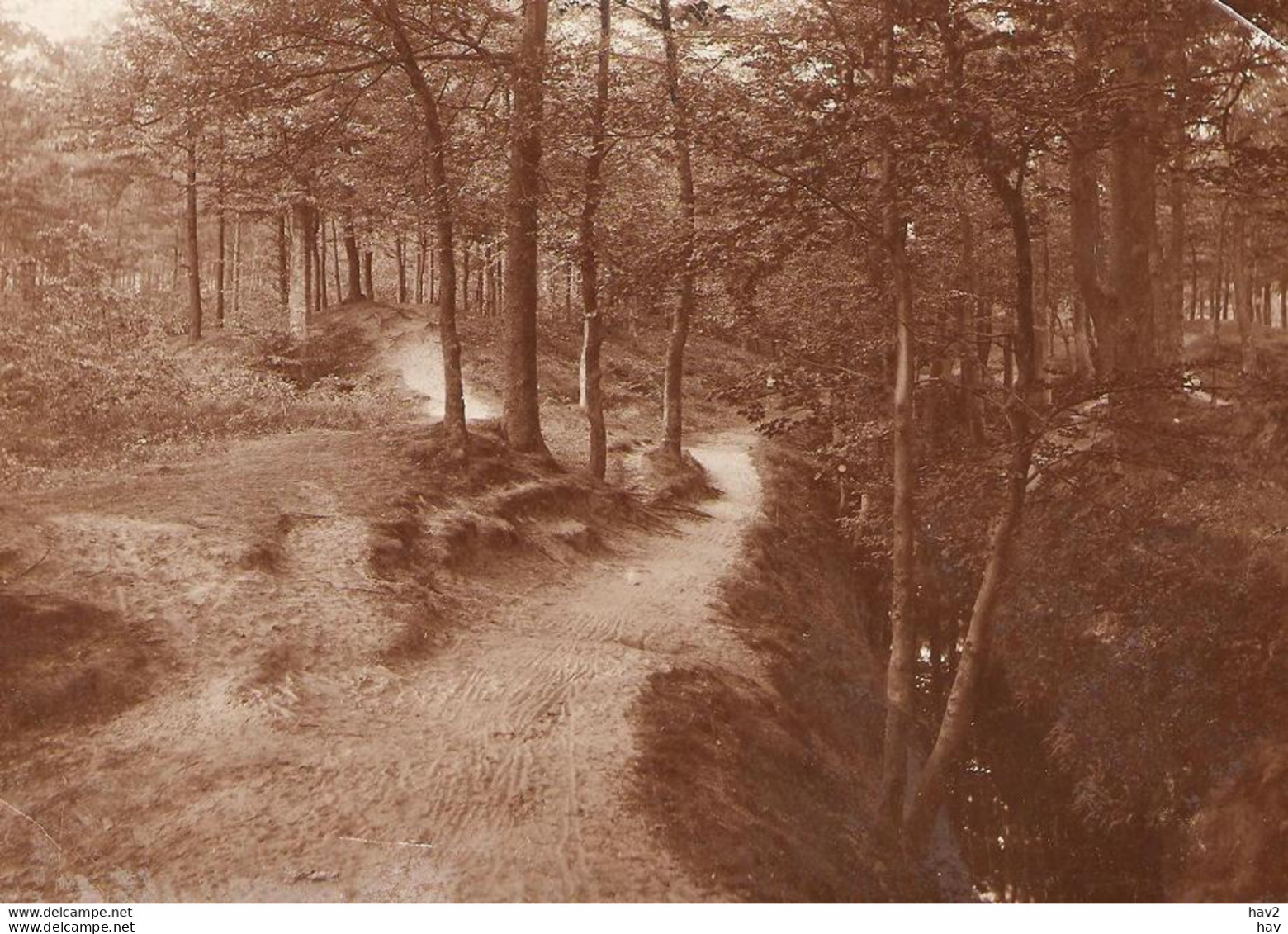 Putten Originele Foto Ca. 1905 Voor Kaart KE1428 - Putten