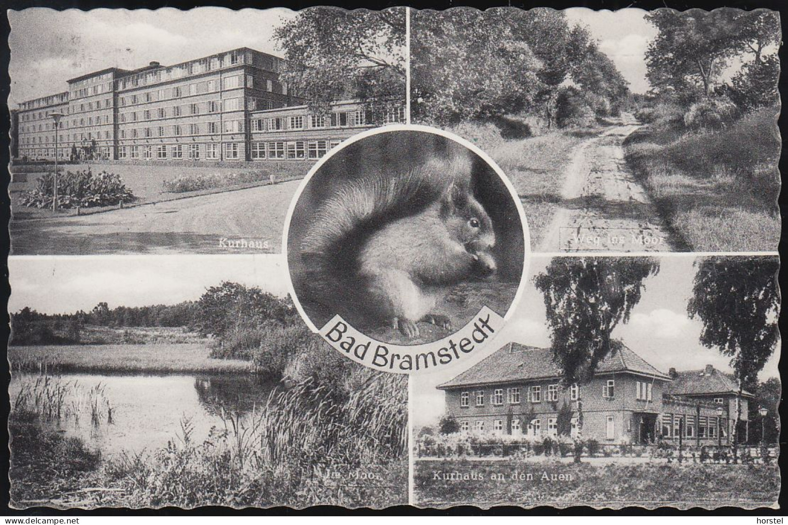 D-24576 Bad Bramstedt - Sol- Und Moorbad - Alte Ansichten - Eichhörnchen - Stamp 1959 - Bad Bramstedt