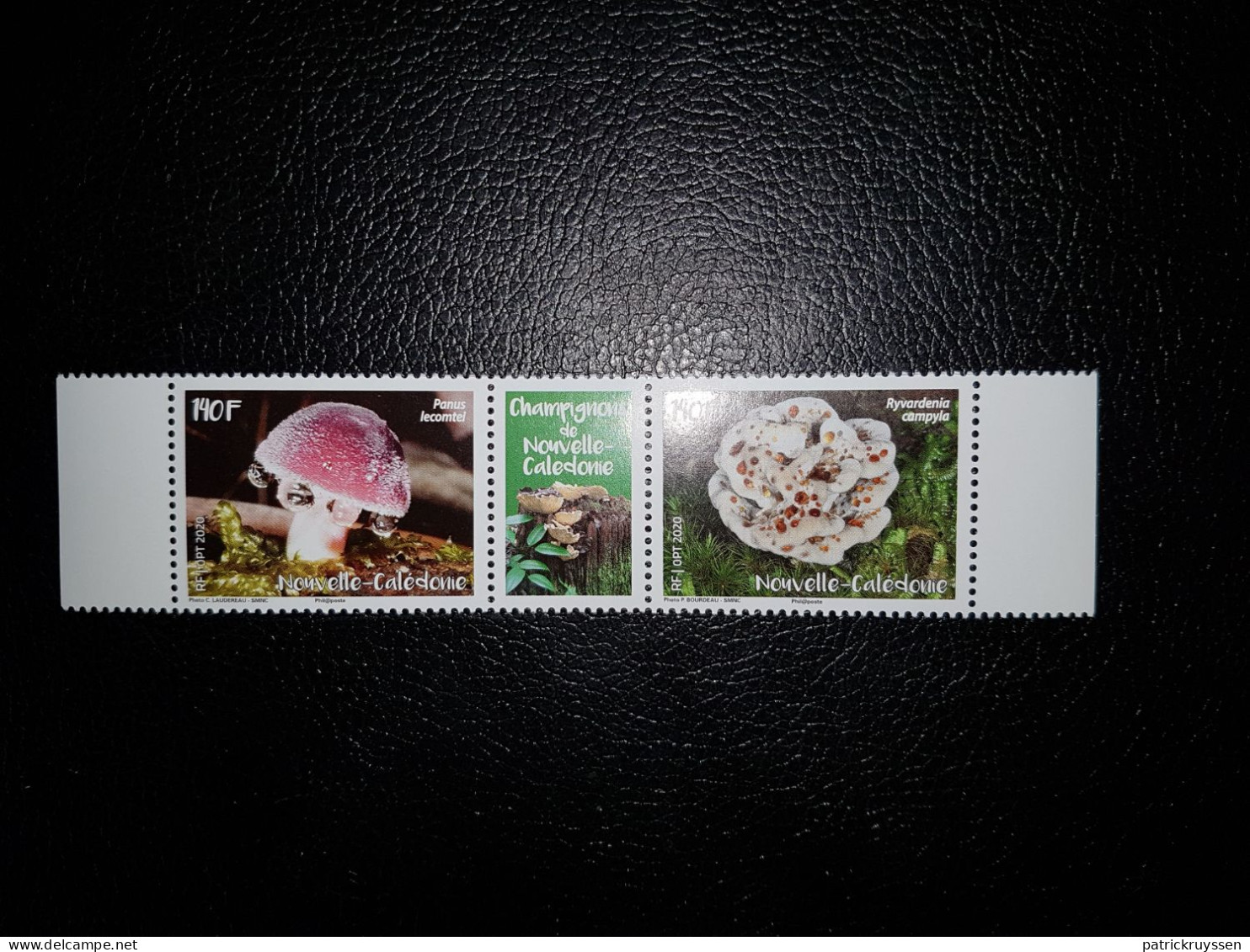 Caledonia 2020 Caledonie Mushroom PANUS Champignon Pilz Fungi 2v +label Mnh - Nuevos