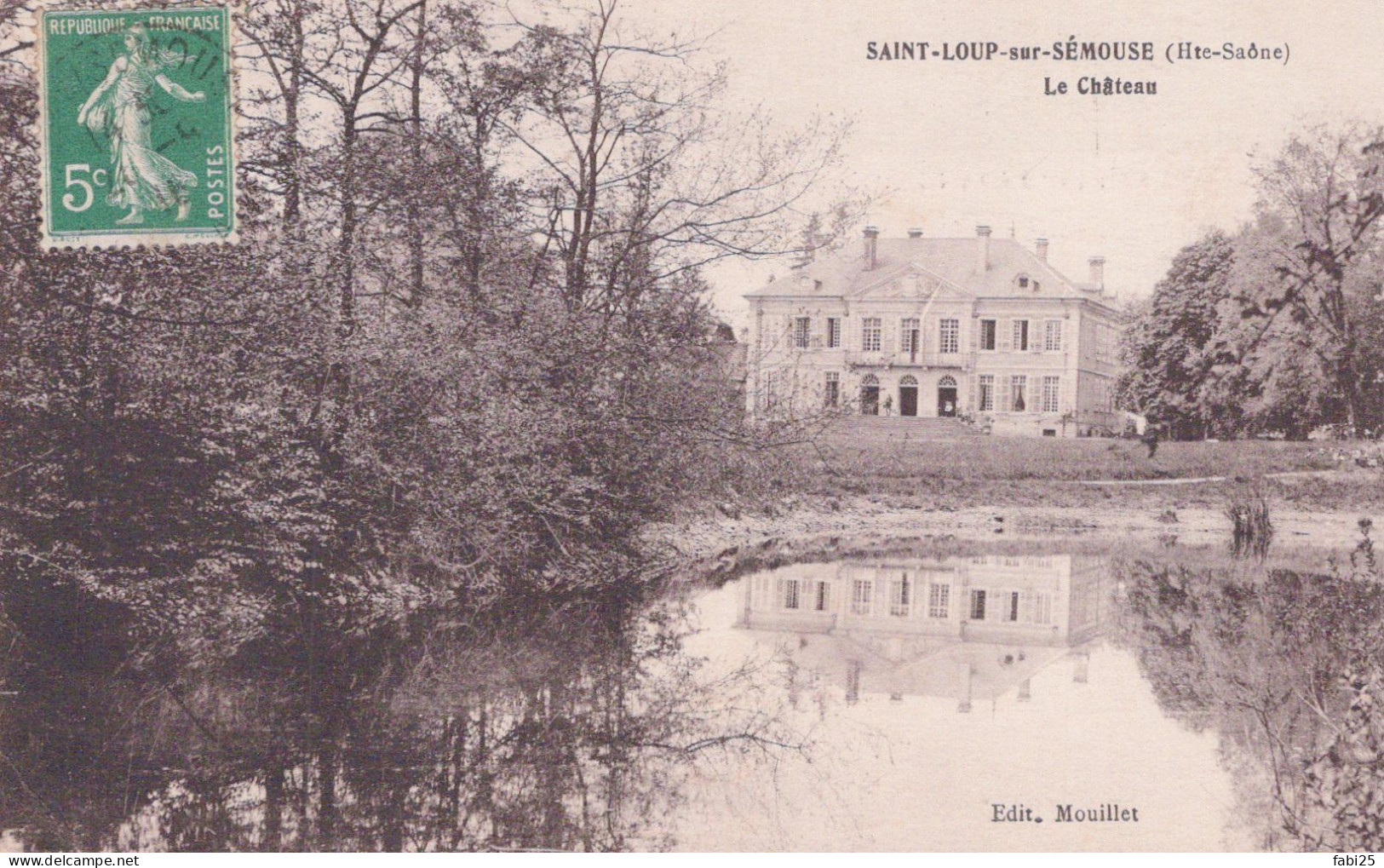 SAINT LOUP SUR SEMOUSE LE CHATEAU - Saint-Loup-sur-Semouse